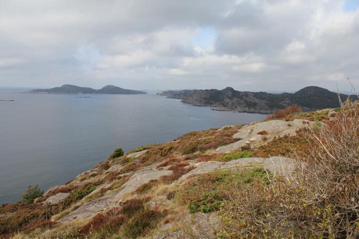 Hausvik