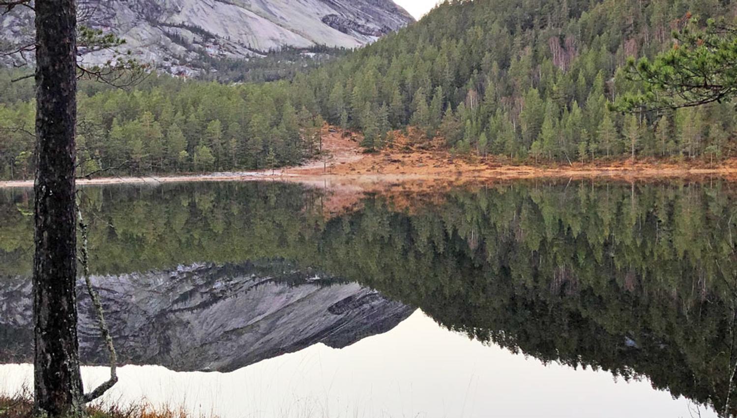 Frå-Presttjønn_CAasheim_web