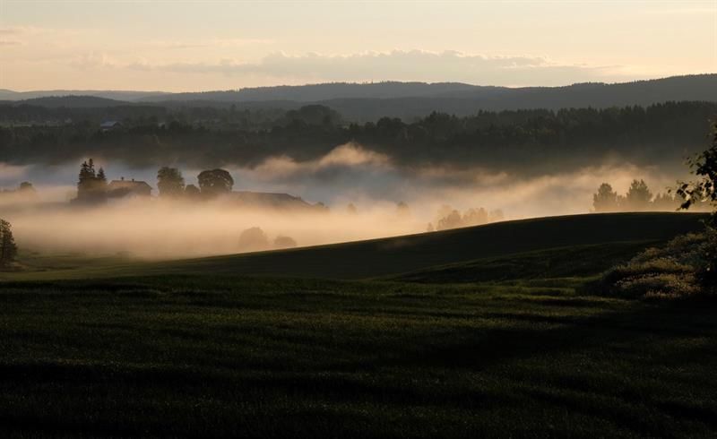 fog on fields 