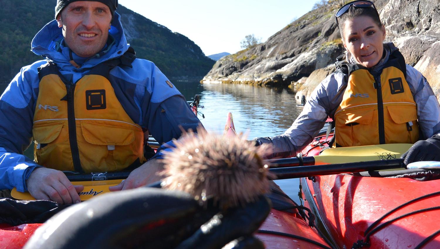 2 day guided kayaking tour in Oygarden