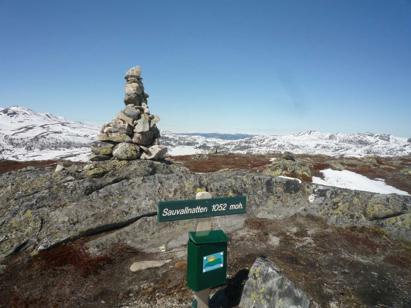 Sauvallnatten - 11 på topp Høgevarde