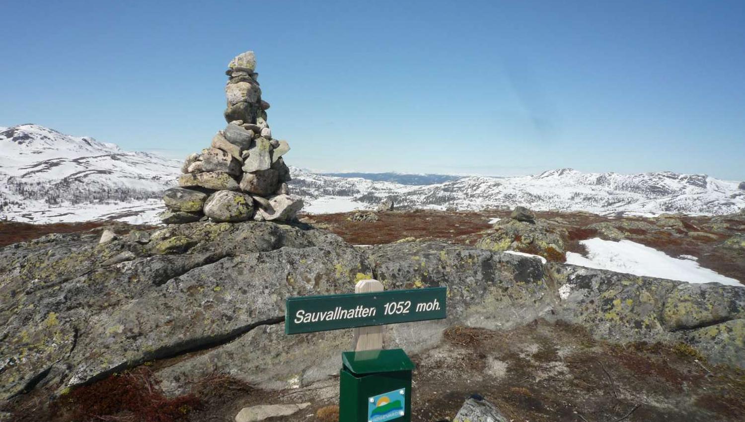 Sauvallnatten - 11 på topp Høgevarde