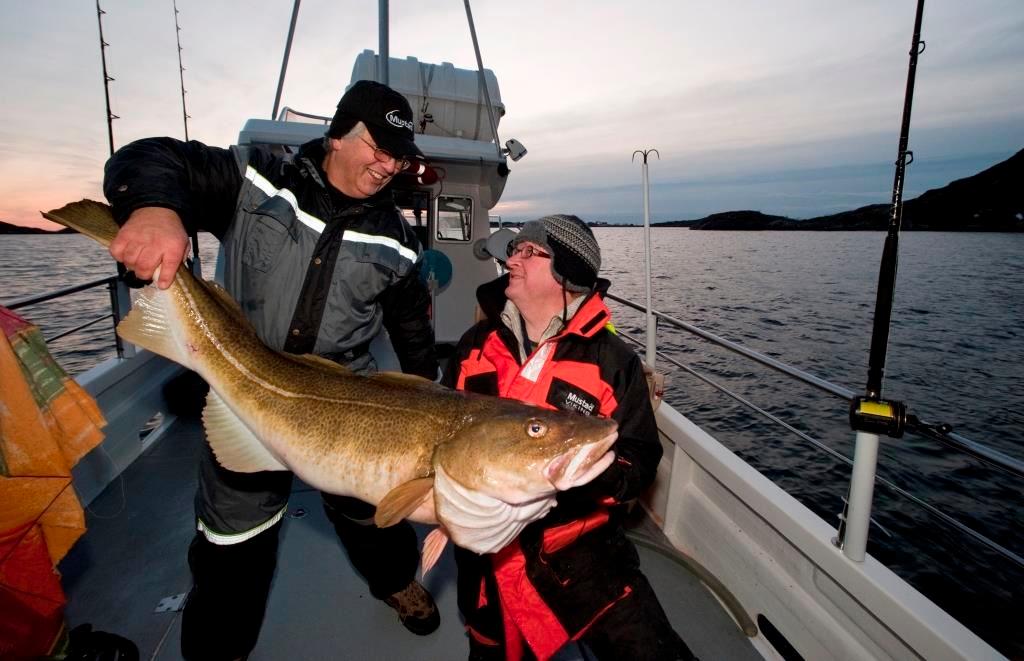 Henningsvær Rorbuer