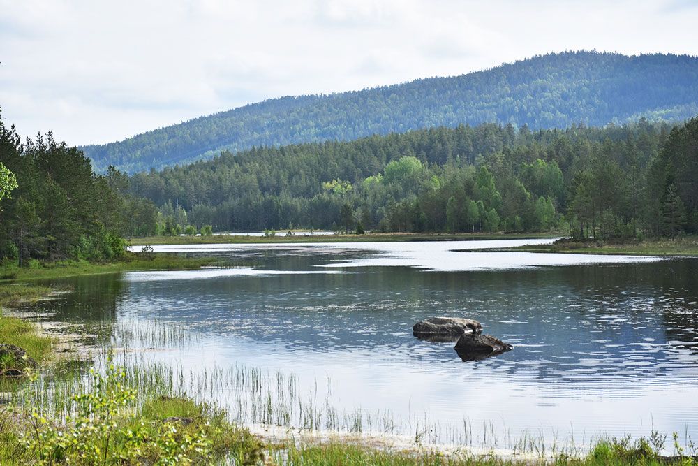 innsjø i nærheten av Villmarkseventyret bobilparkering