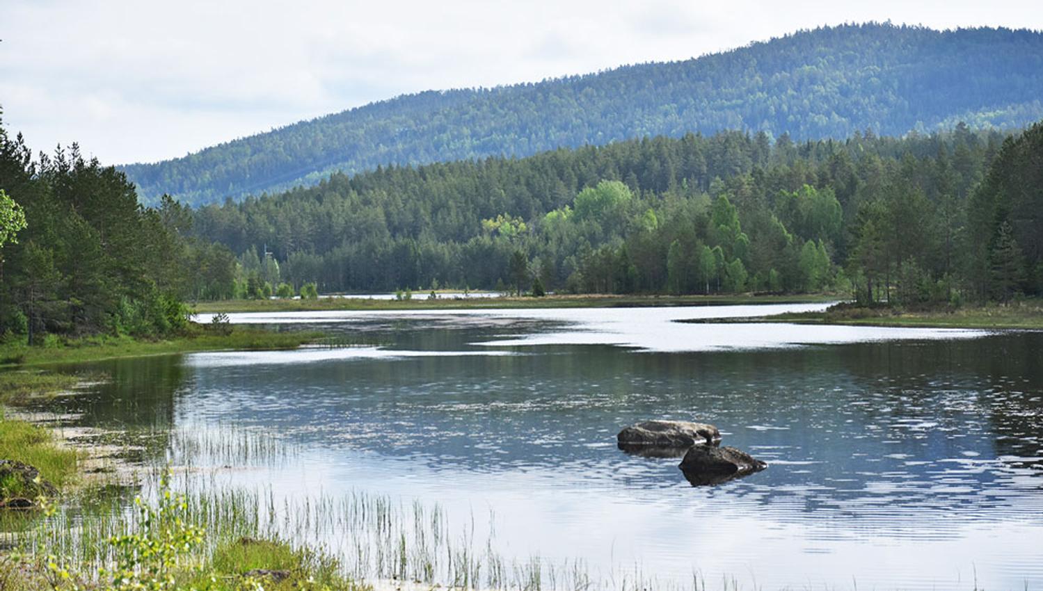 innsjø i nærheten av Villmarkseventyret bobilparkering