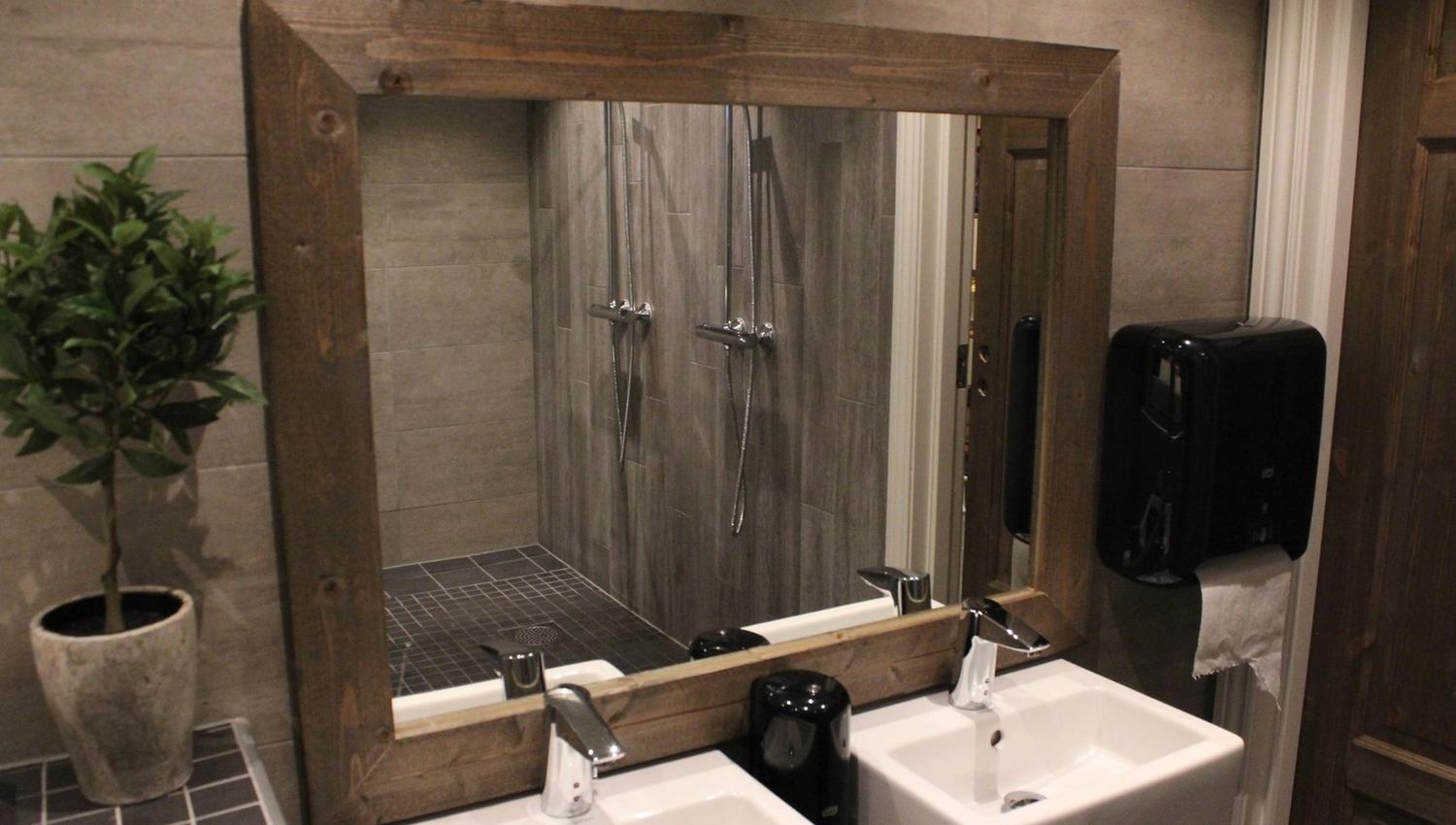 Mirror and sink