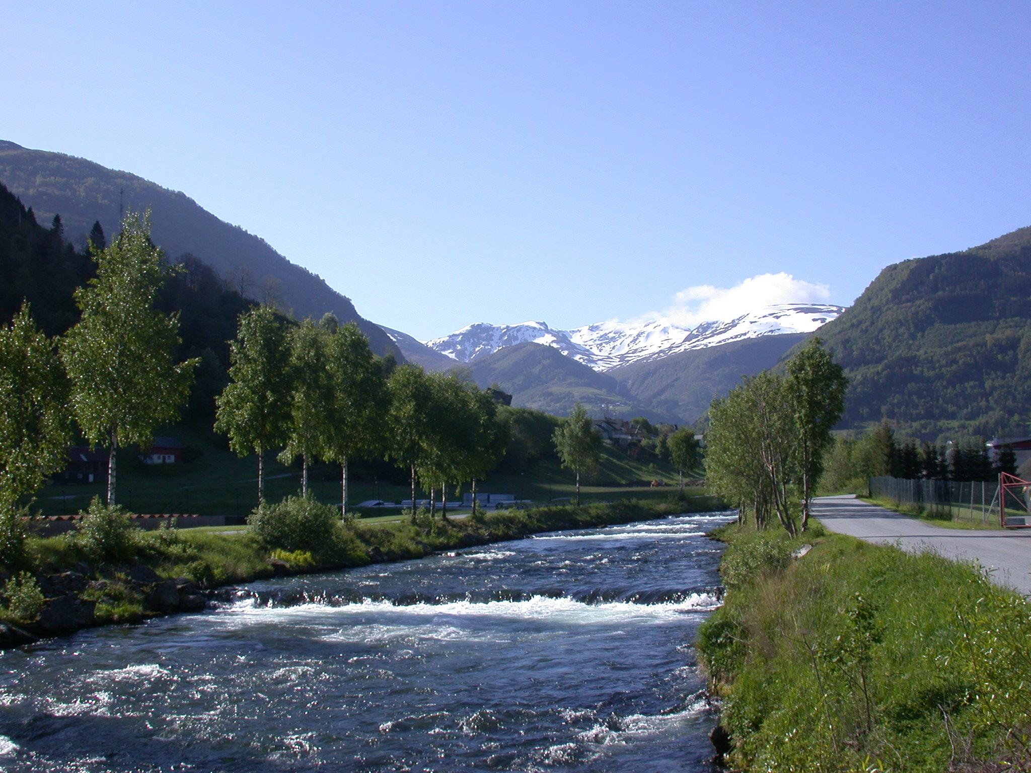 Vikja - salmon river