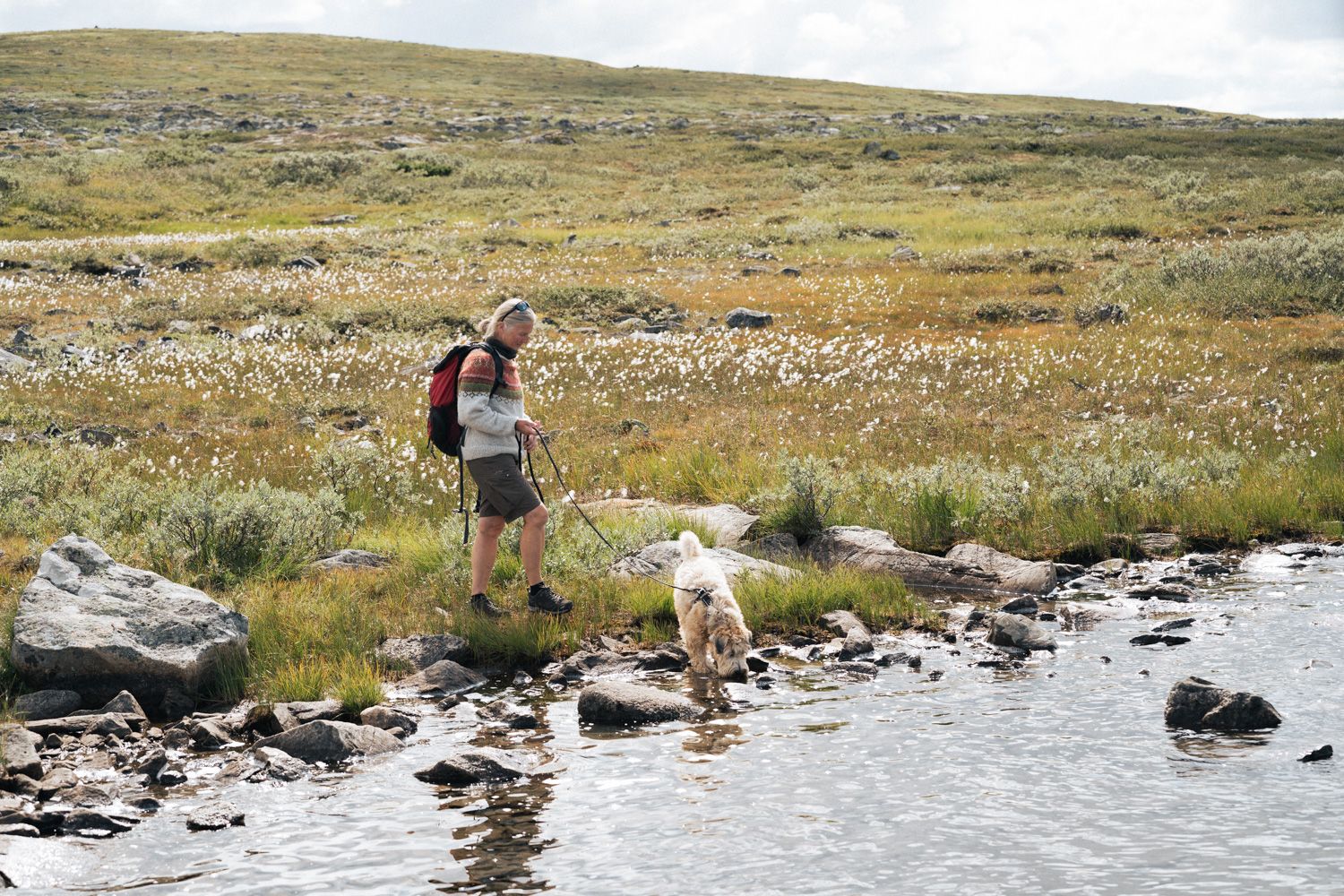 Hardangervidda x Yrjan Olsnes 2021-08142
