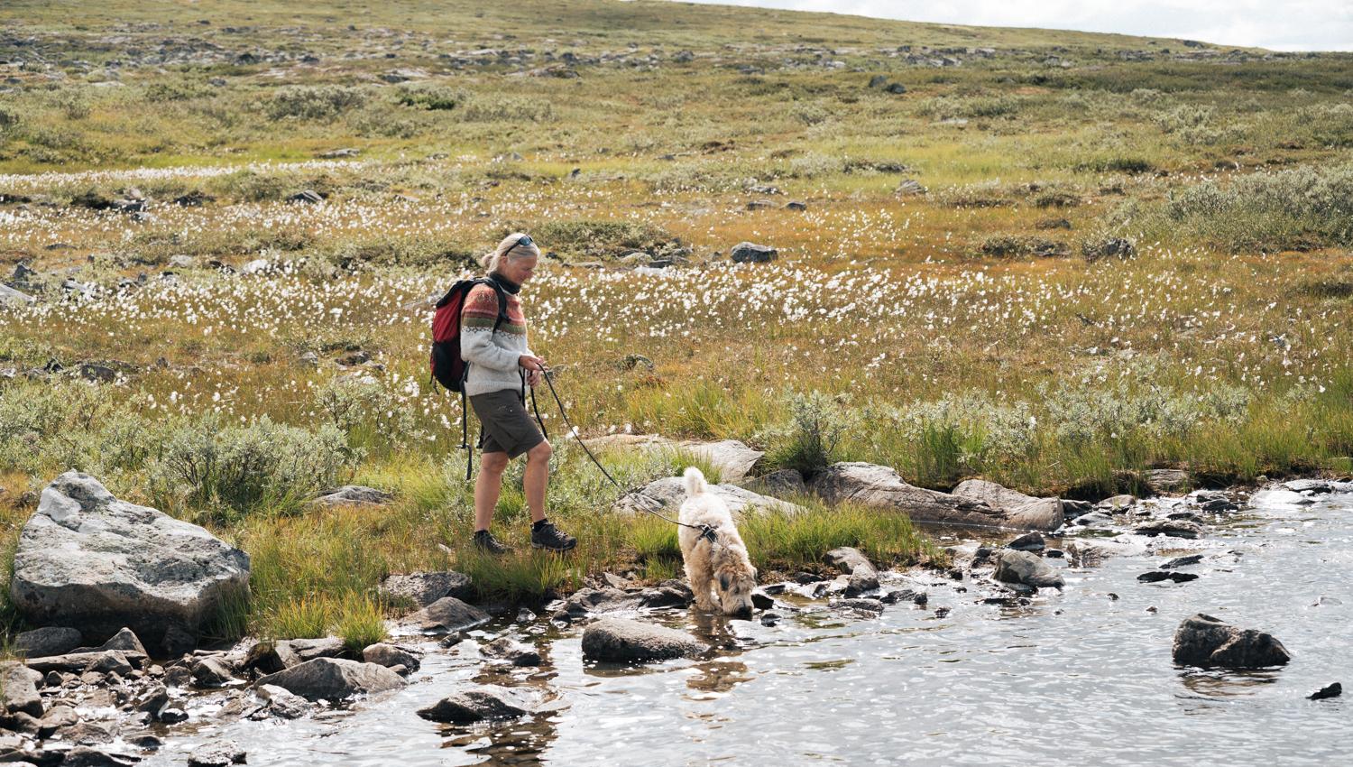Hardangervidda x Yrjan Olsnes 2021-08142
