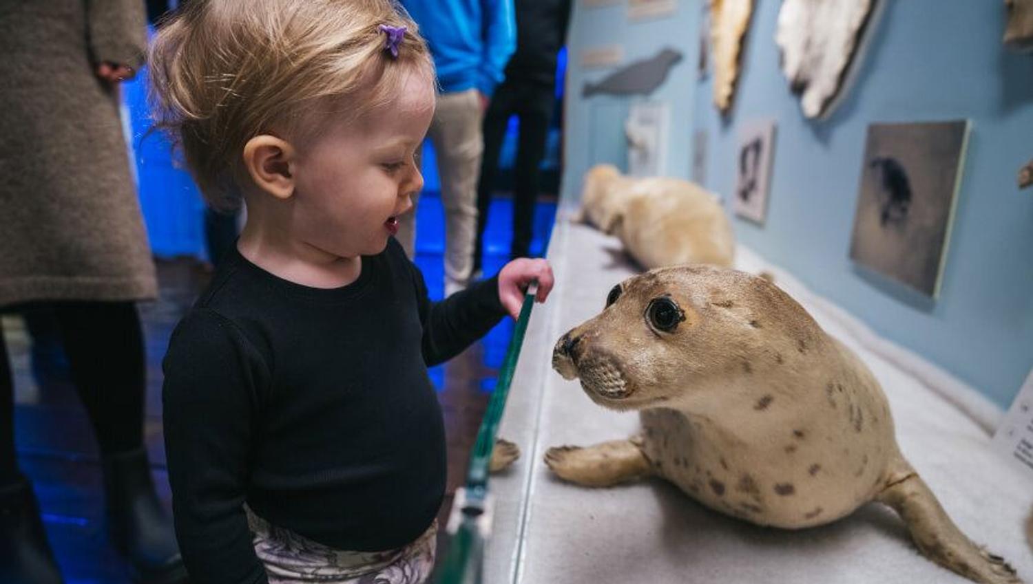 Barn studerer utstilling på Polarmuseet i Tromsø