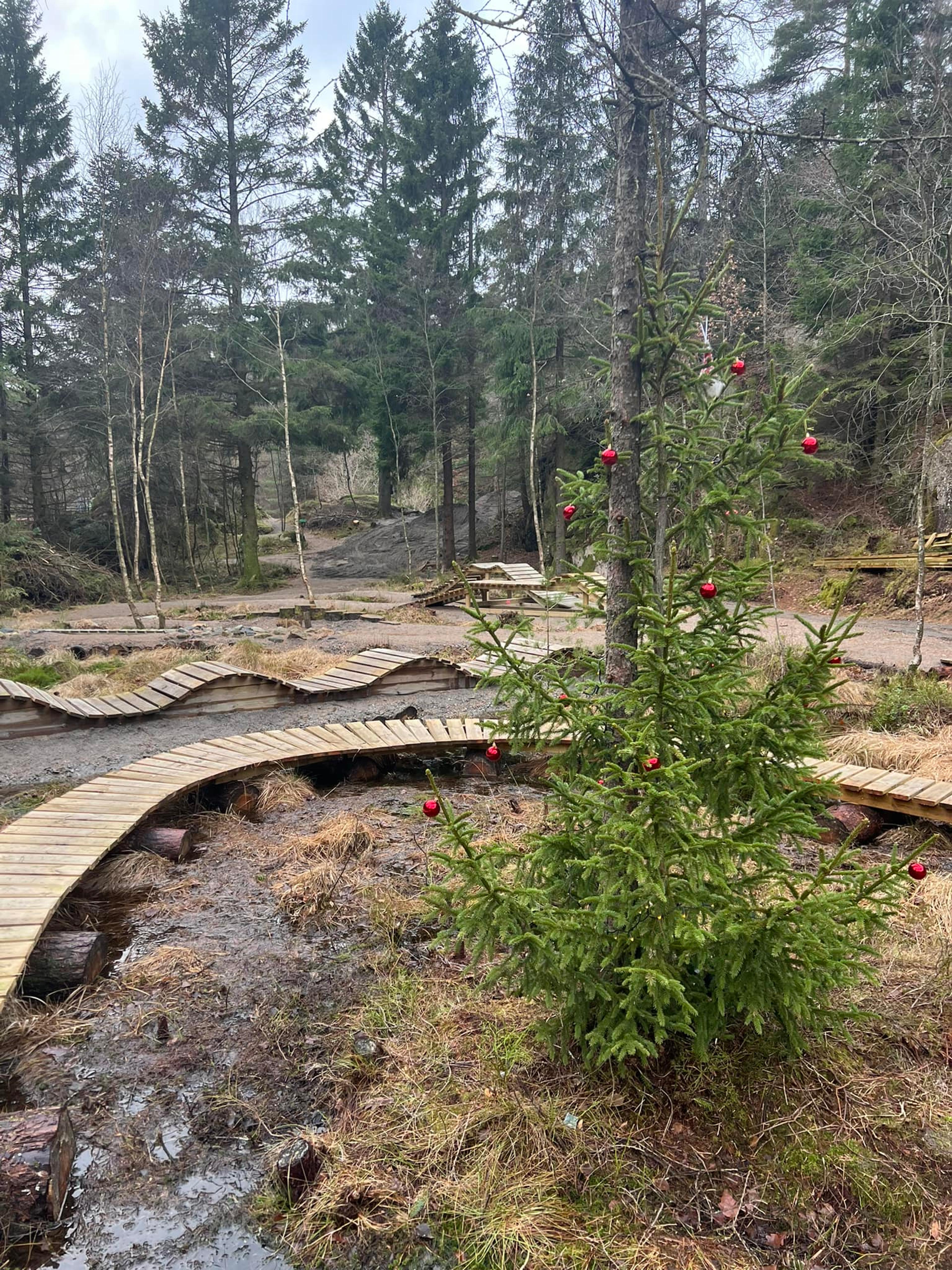 468000773_122125877600475688_2835390392993091036_n