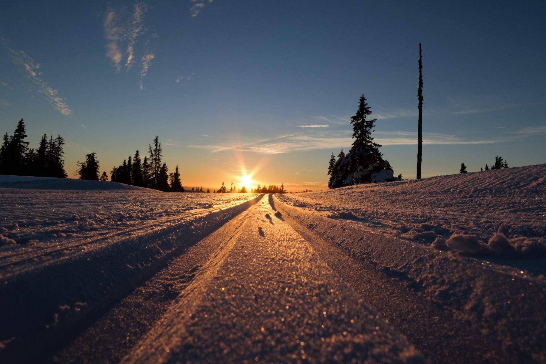 Langrennsløyper på Sjusjøen