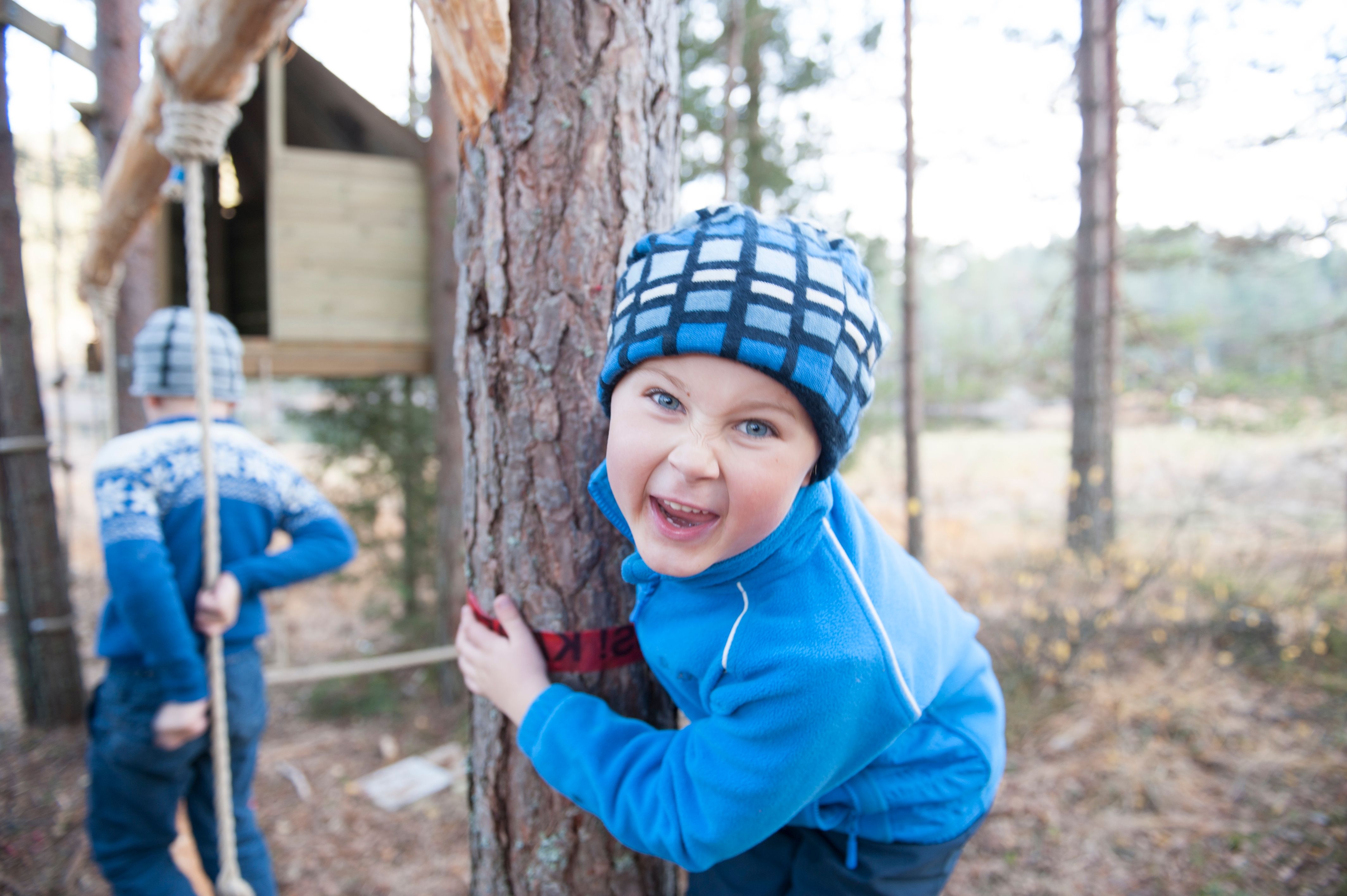 Trehyttene lek i trærne