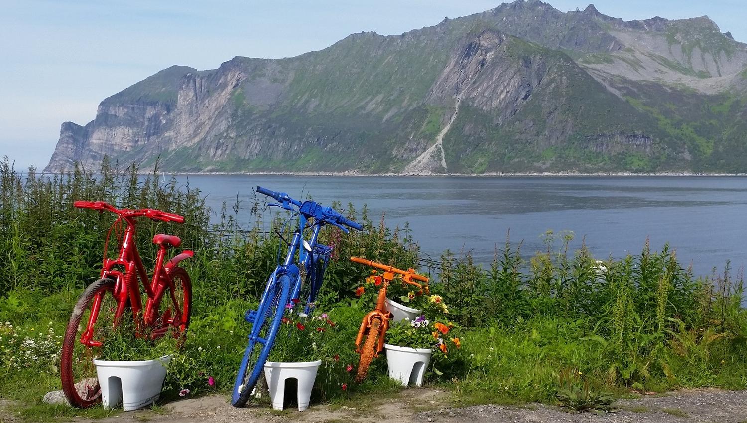 Arctic Coast Cycling - on way to Senjahopen