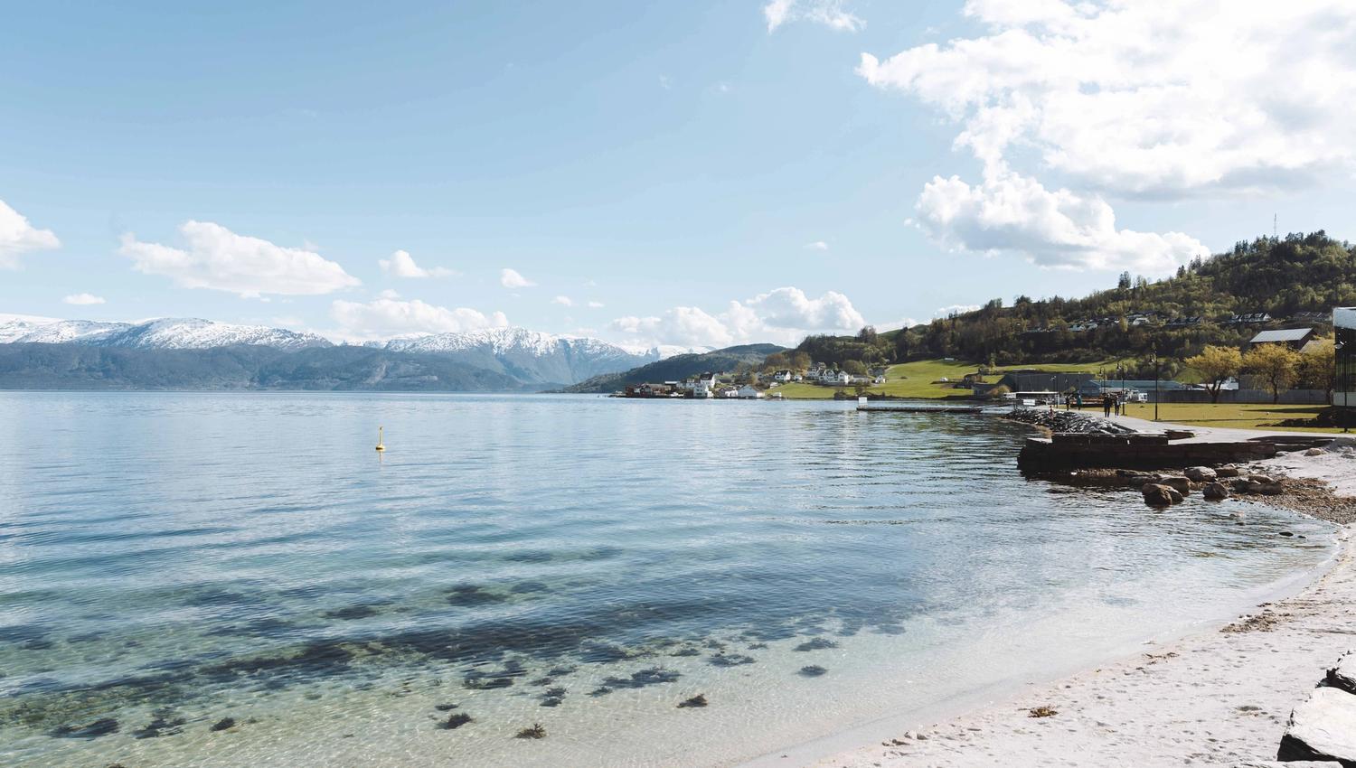 Rolig strandlinje med klart vann og snødekte fjell i det fjerne.