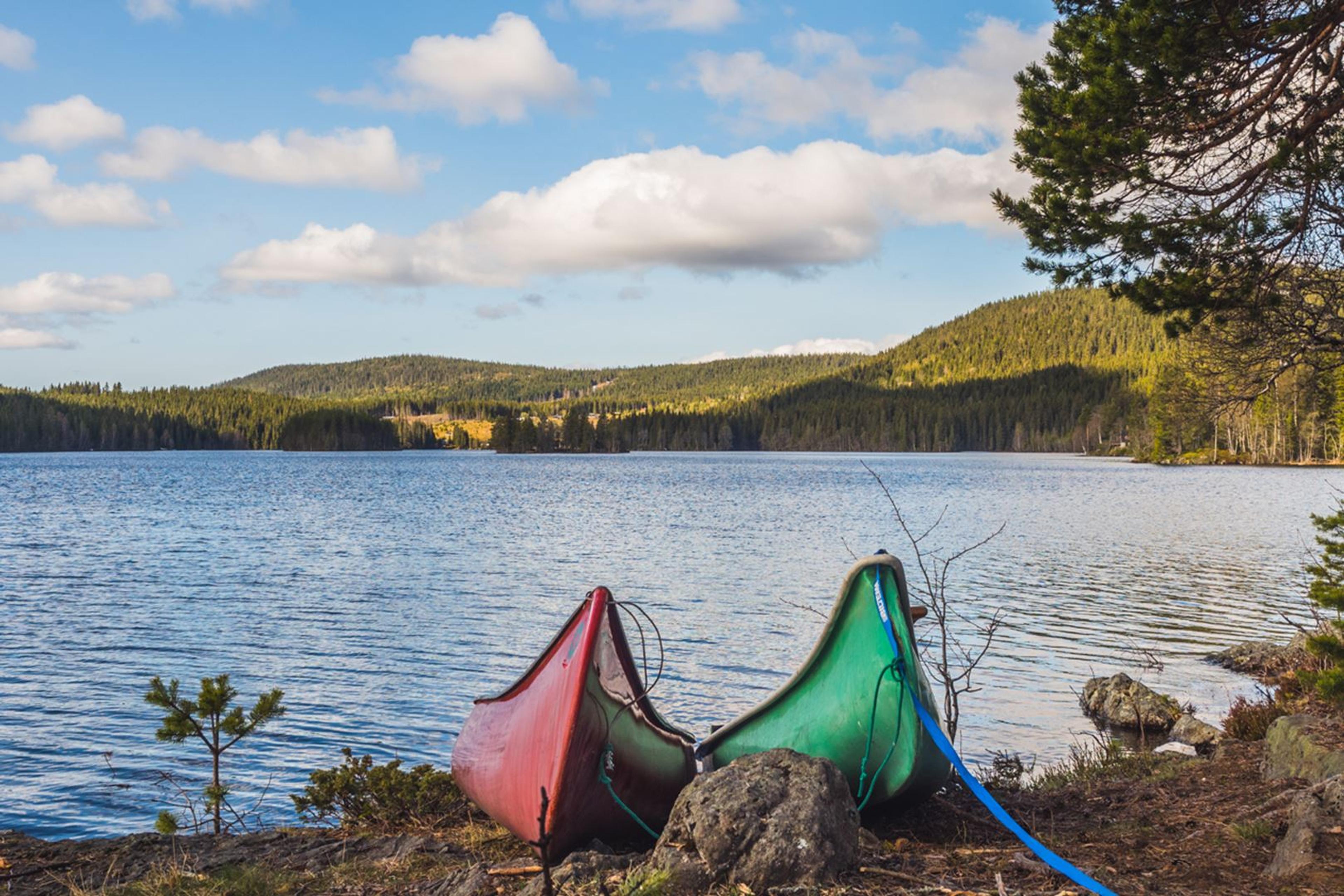 Two canoes in front of a lake.