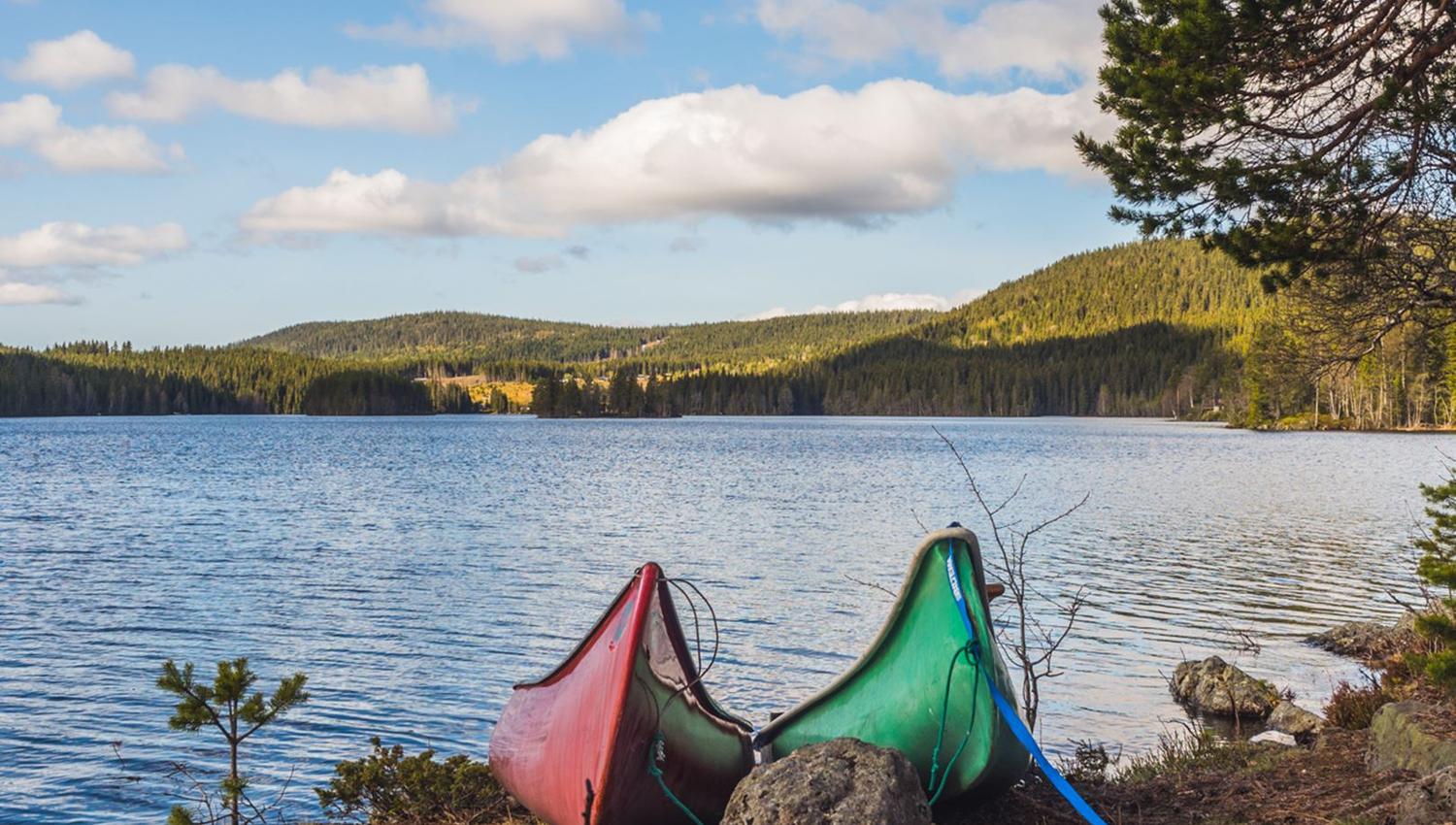 Two canoes in front of a lake.
