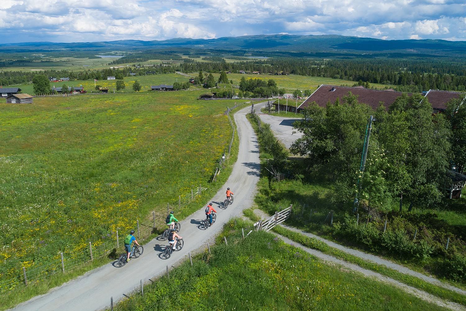 Drone footage of cyclists in a green summer meadow landscape