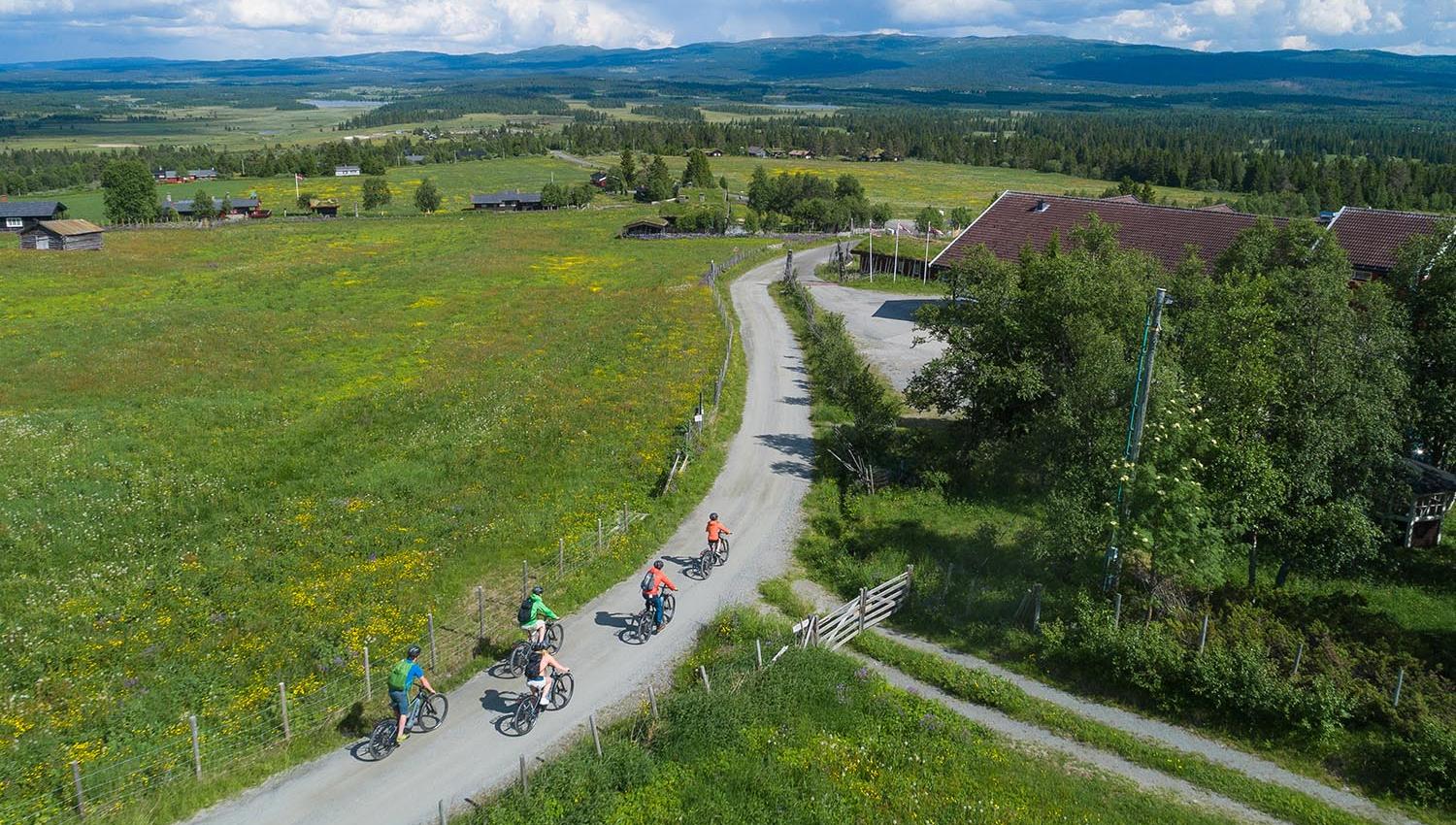 Drone footage of cyclists in a green summer meadow landscape