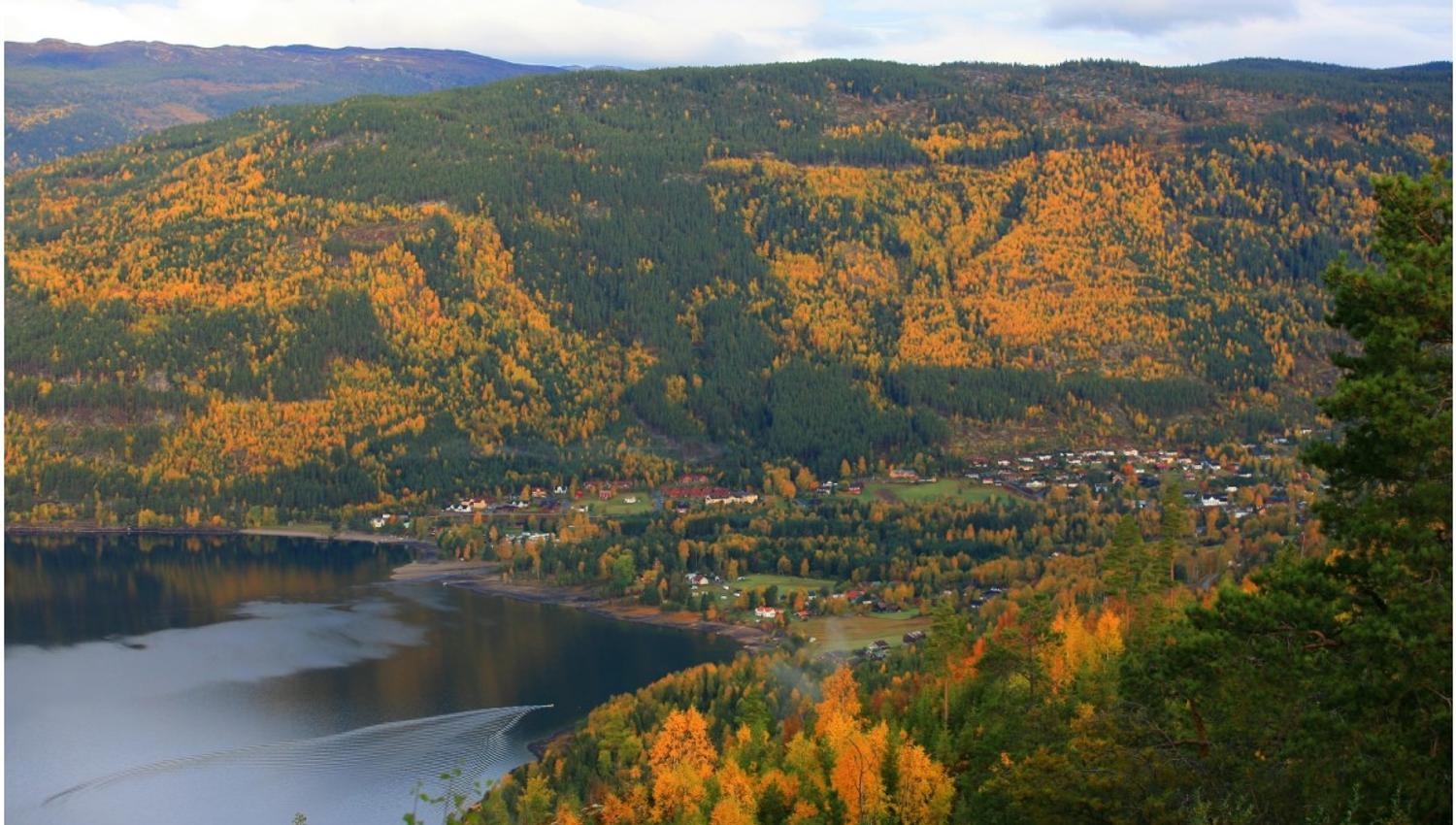 Austbygda Bakeri ligger midt i Tinn Austbygd sentrum. Det er en koselig kafè og bakeri hvor man kan nyte mye godt til kaffen.