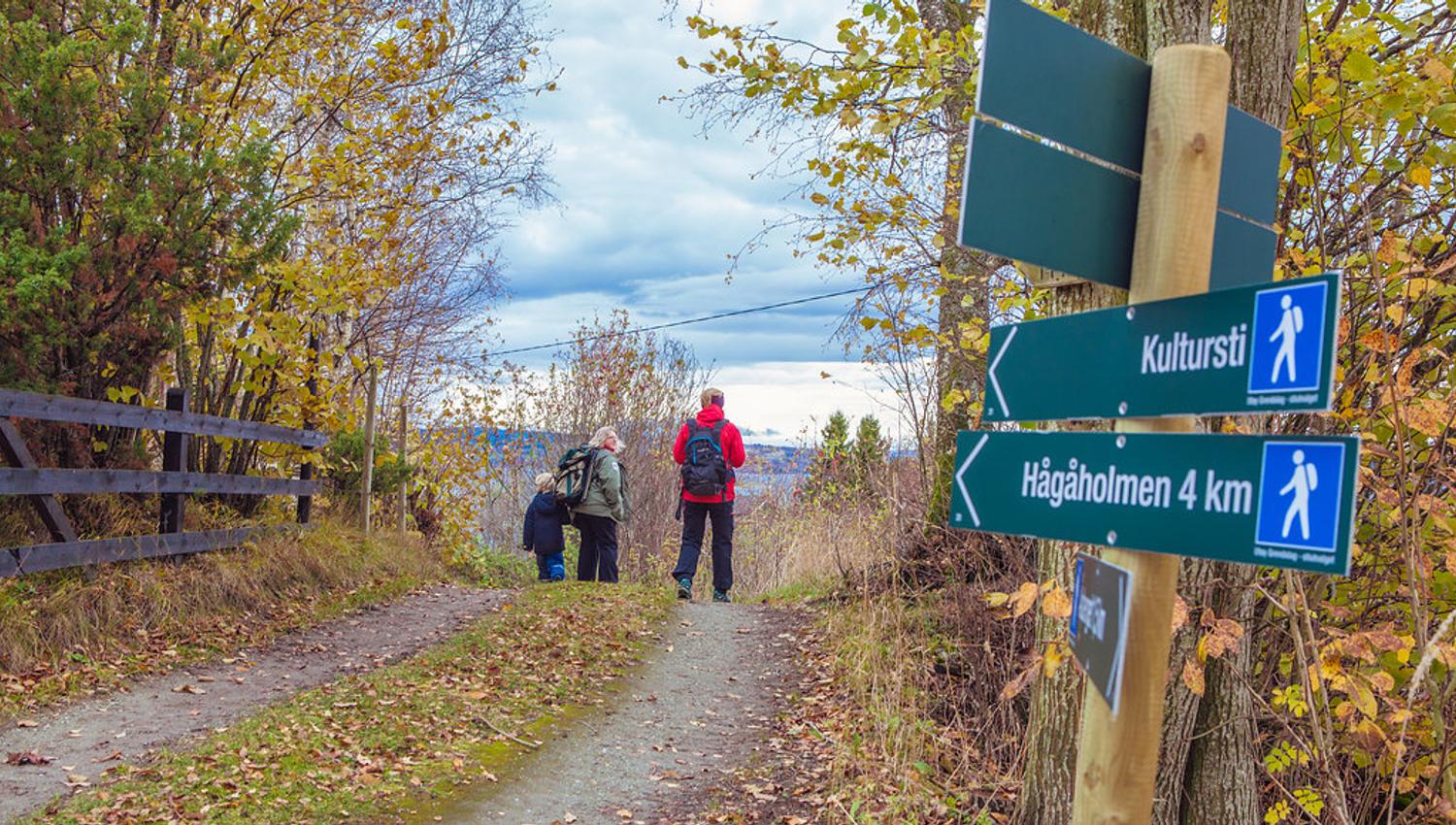 Steinkjerfotografen - Kulturstien Straumen Vangshylla