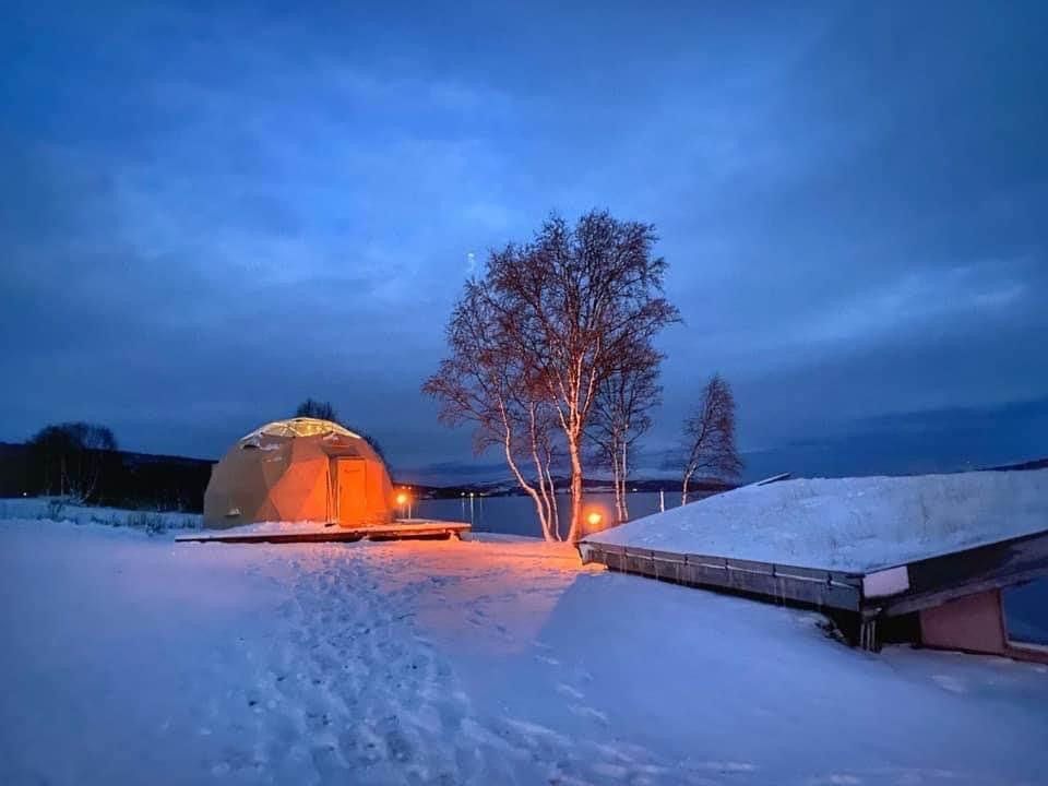 Arctic Dome