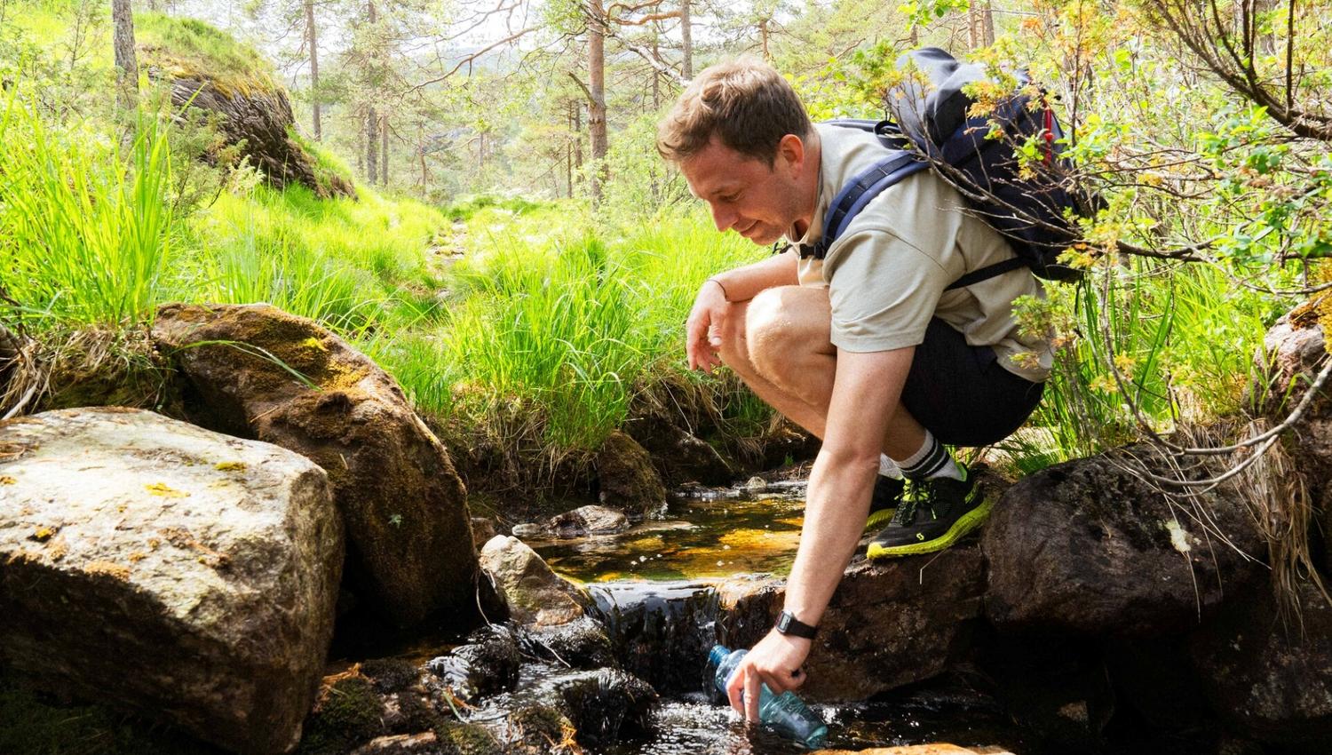 Fjord cruise & guided mountain hike to "Slottet"