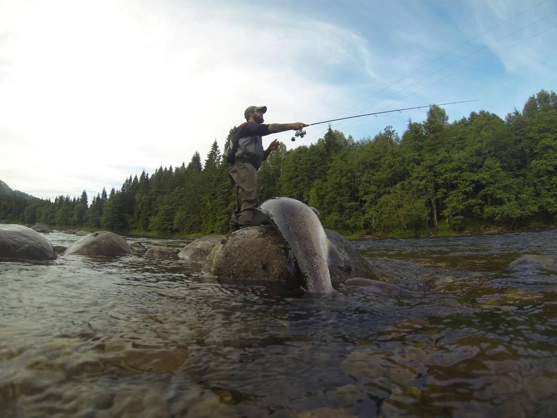 Salmon Fishing Otra