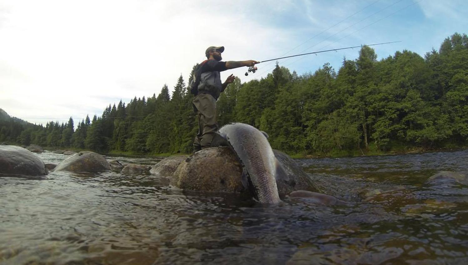 Salmon Fishing Otra