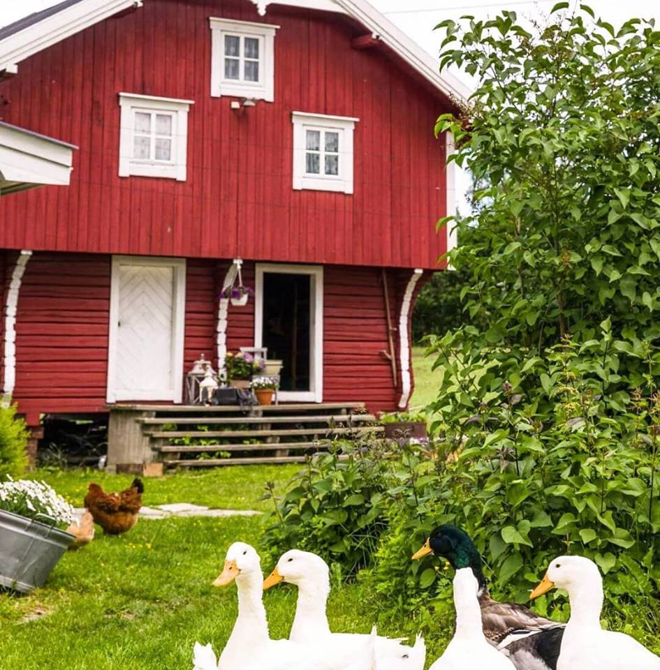 Rødt stabbur