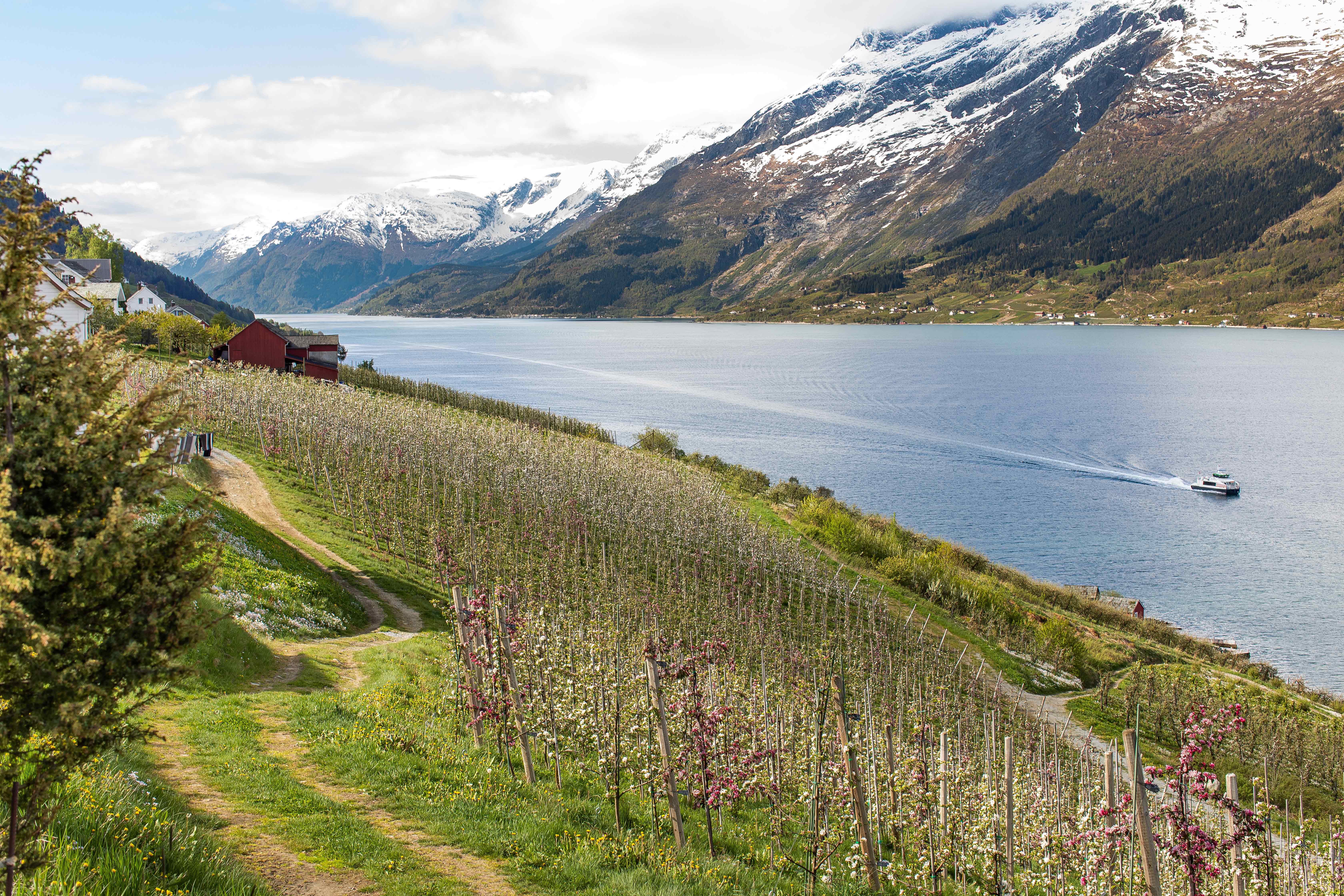 Gård ved fjorden med fjellutsikt og en båt som skaper bølger på vannet.