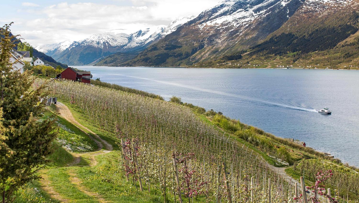 Gård ved fjorden med fjellutsikt og en båt som skaper bølger på vannet.