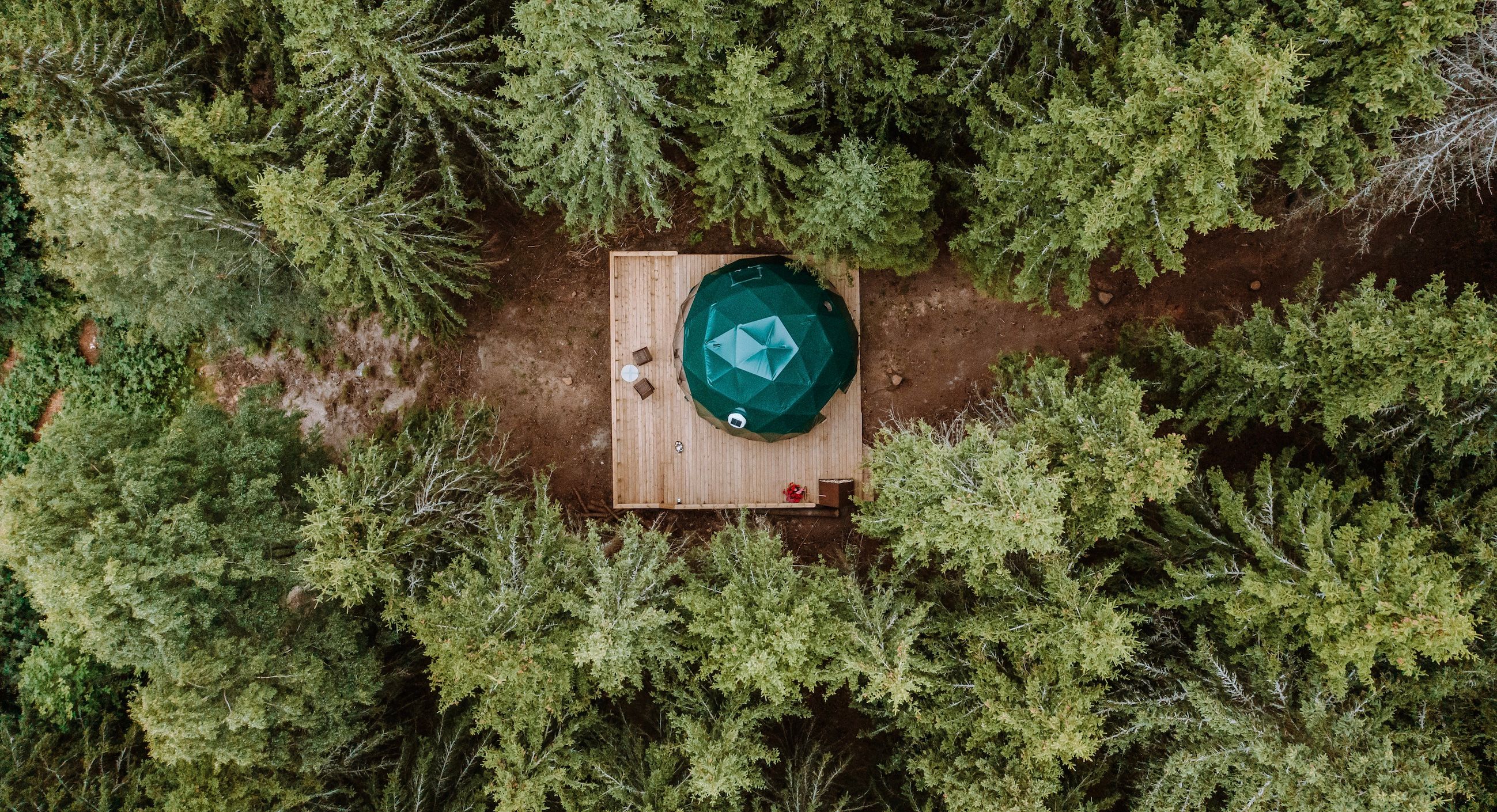 The dome seen from above with trees around   