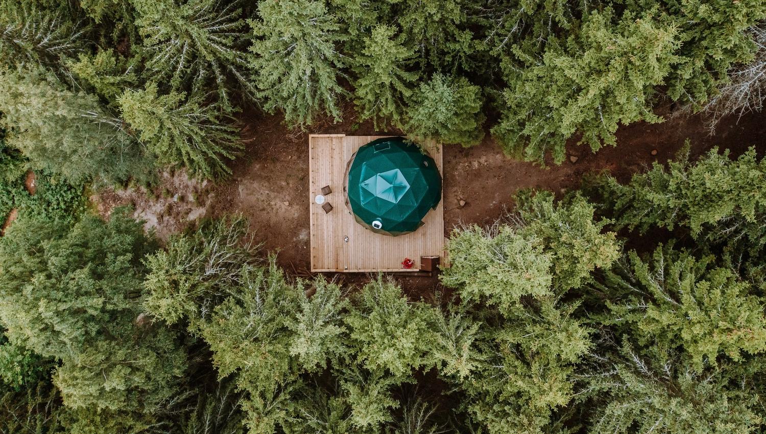 The dome seen from above with trees around