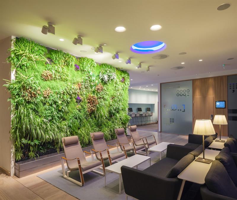 Sofas in lobby, green wall