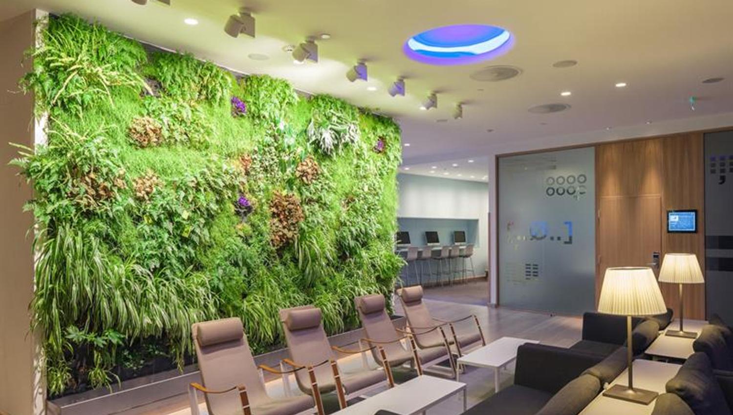 Sofas in lobby, green wall