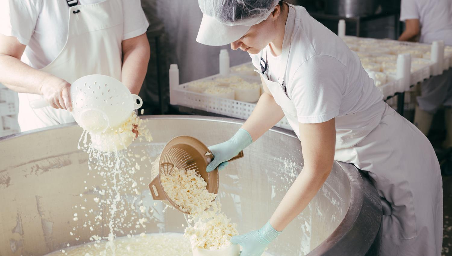 Innsyn i osteproduksjonen
