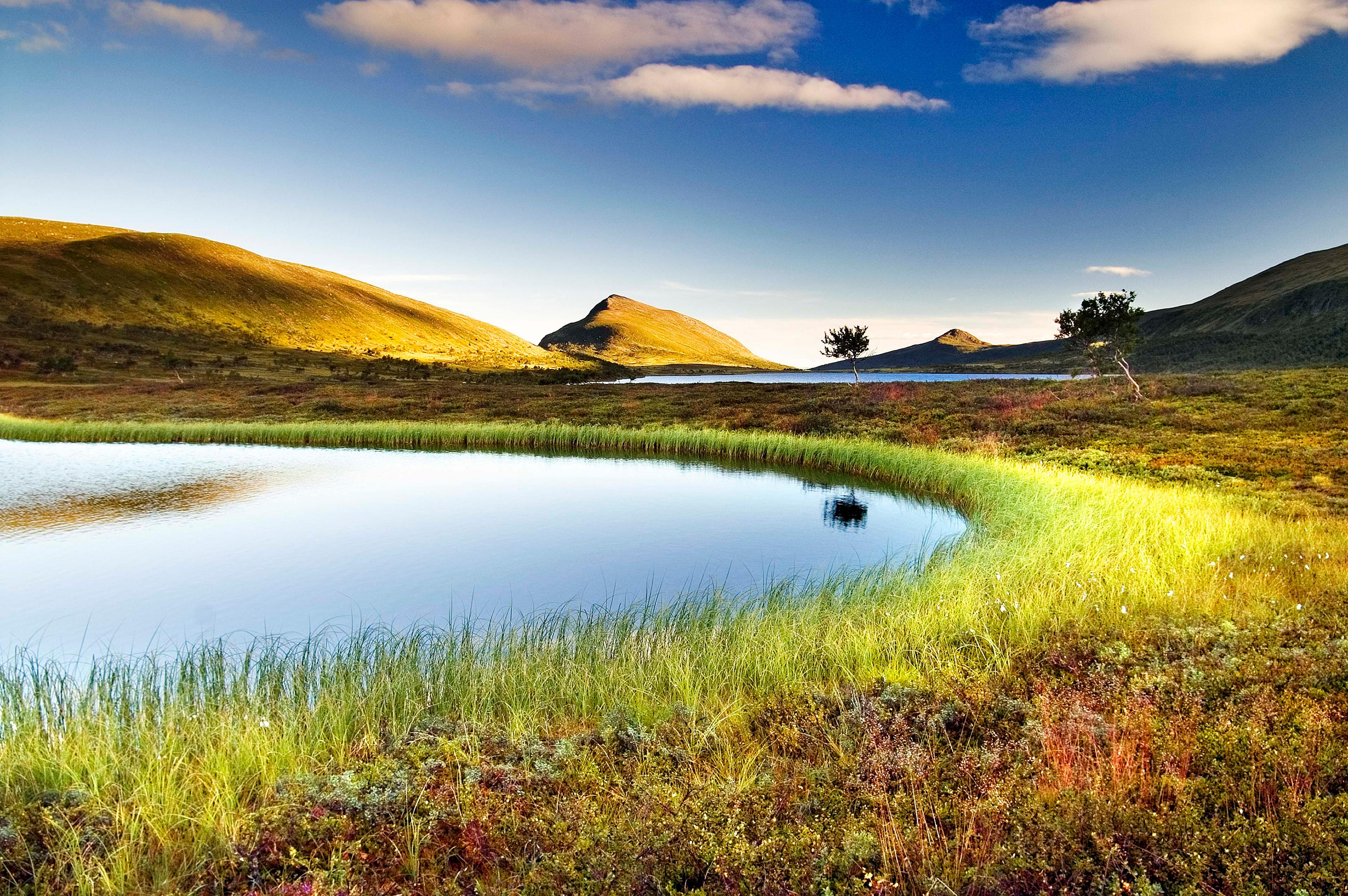 Lierne/Lijre National Park