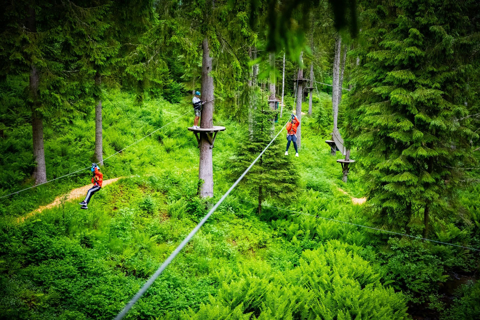 To stykker som kjører i zipline.