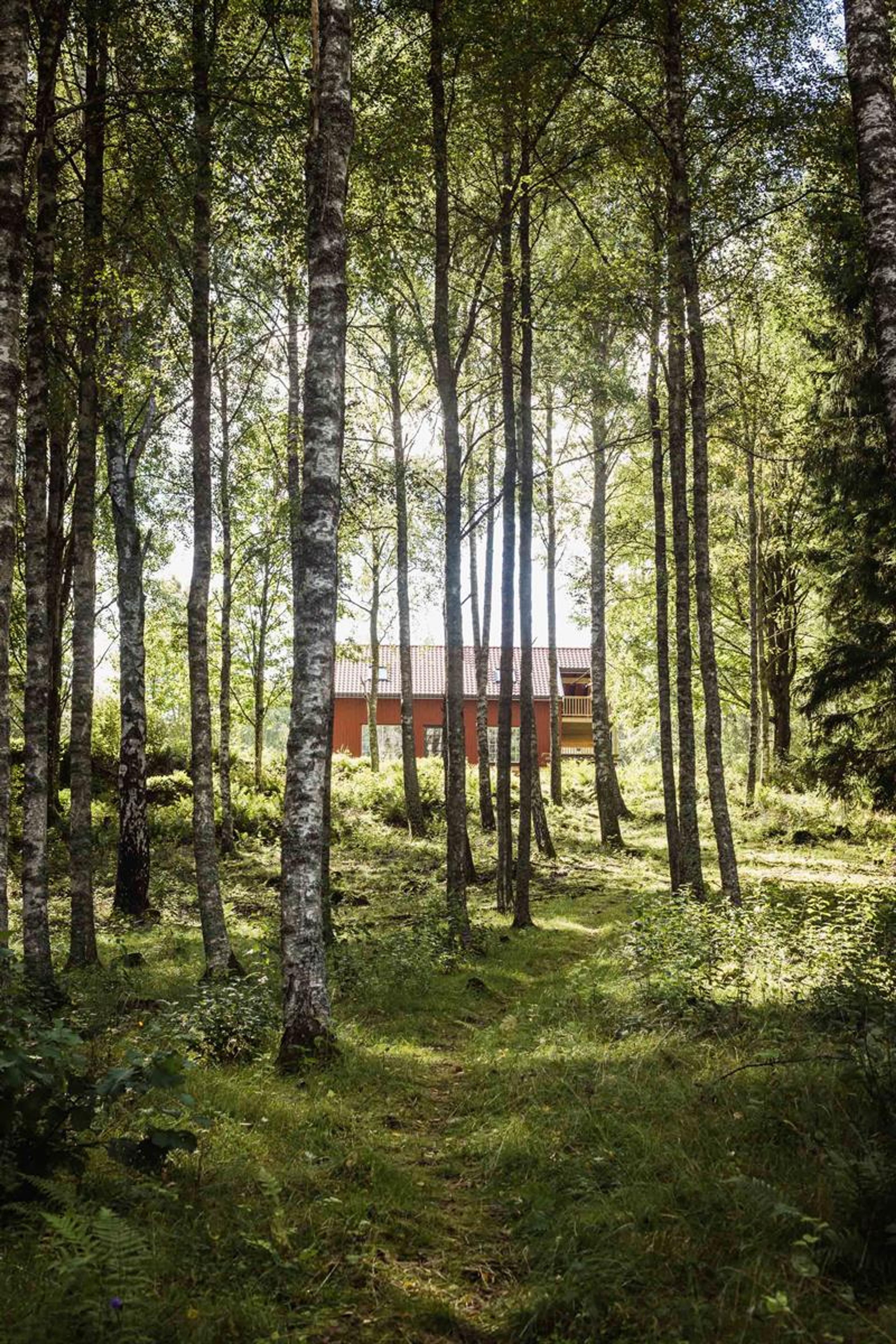 Hafsrød_Ertehaugen_23_-276_WEB