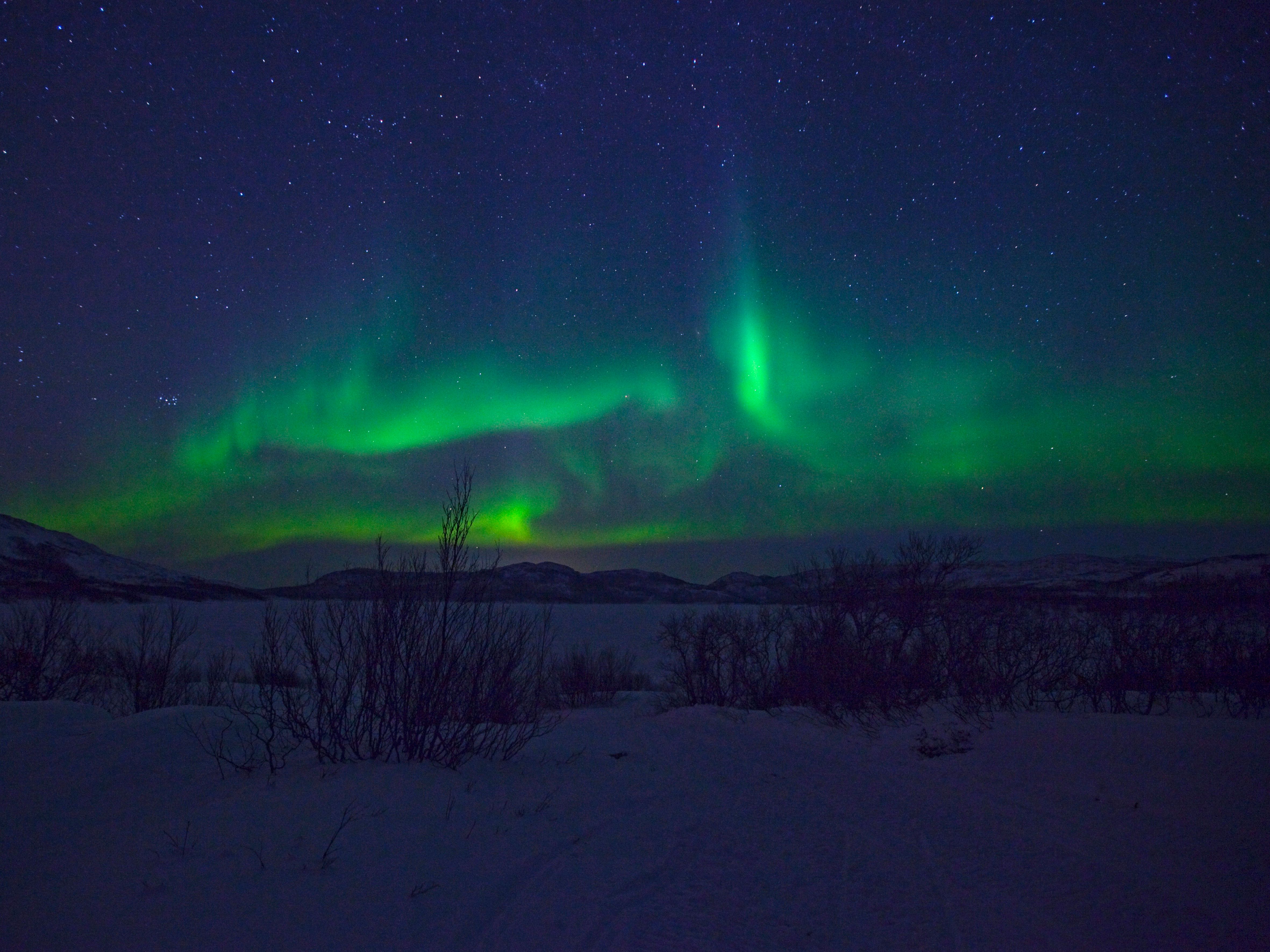 Northern Lights
