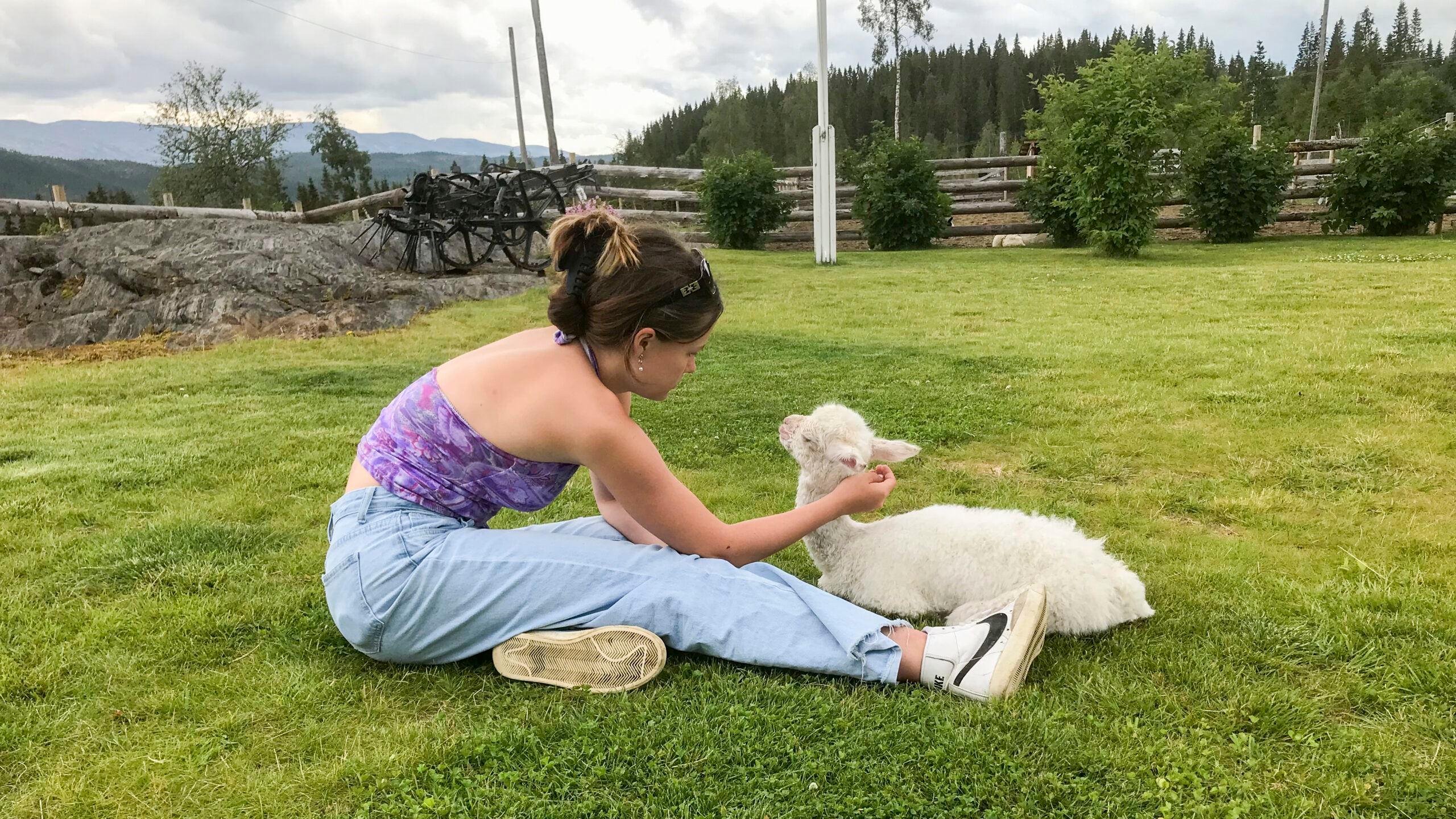Løyle Gård - Besøksgård med alpakka, hester, hunder og geiter