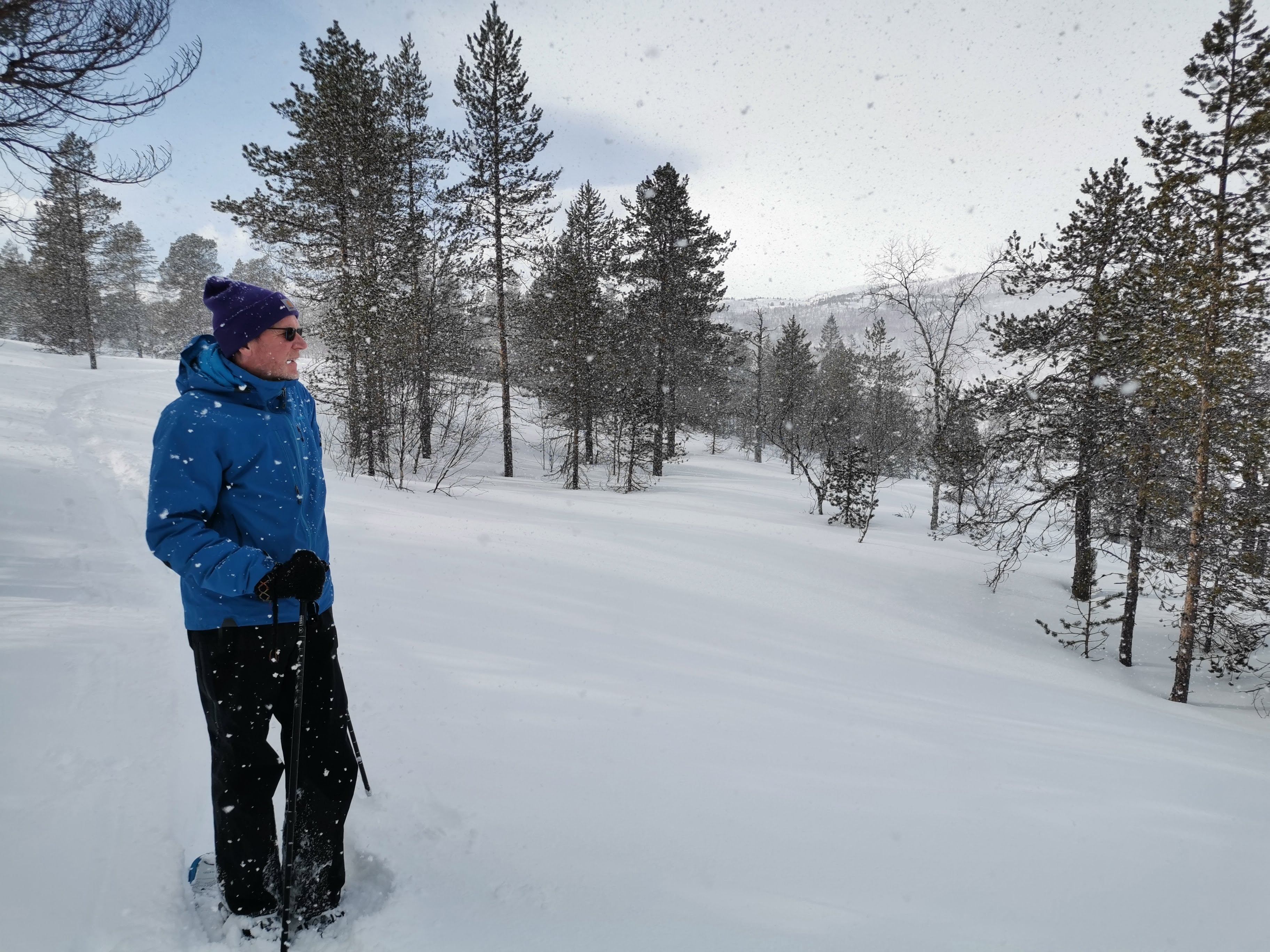 person on a snowshoe trip in a winter landscape