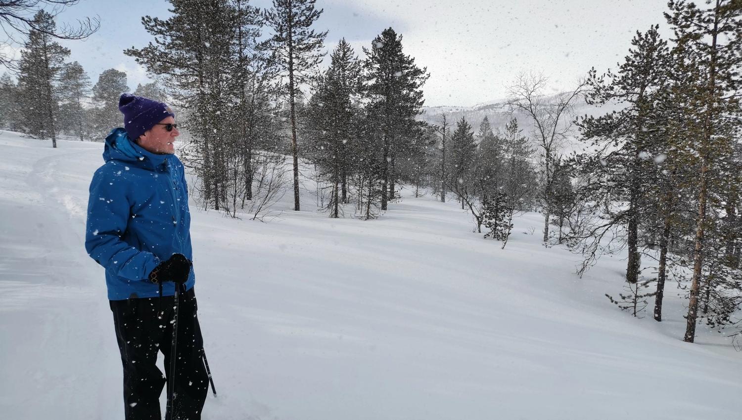 person on a snowshoe trip in a winter landscape
