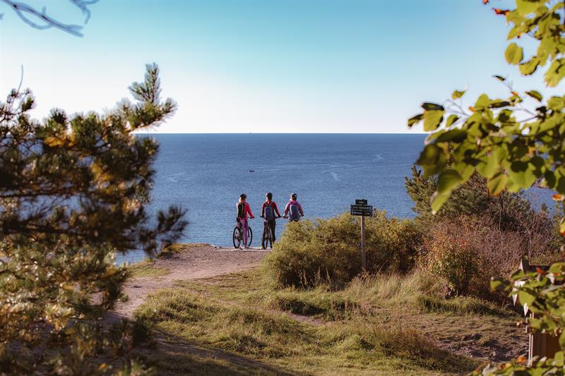 group of cyclists looking out over the garden on the Telemark coast 