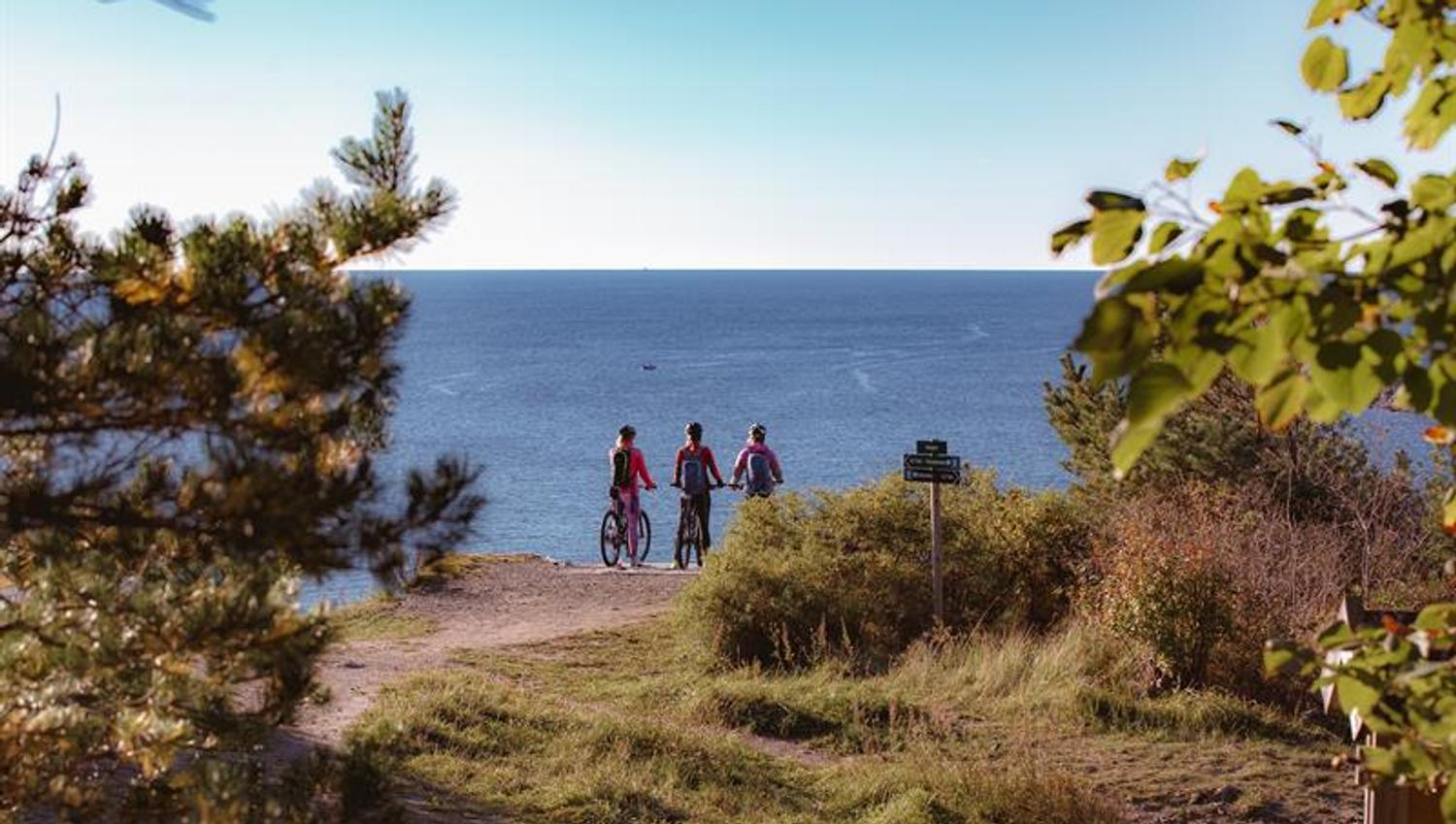 group of cyclists looking out over the garden on the Telemark coast