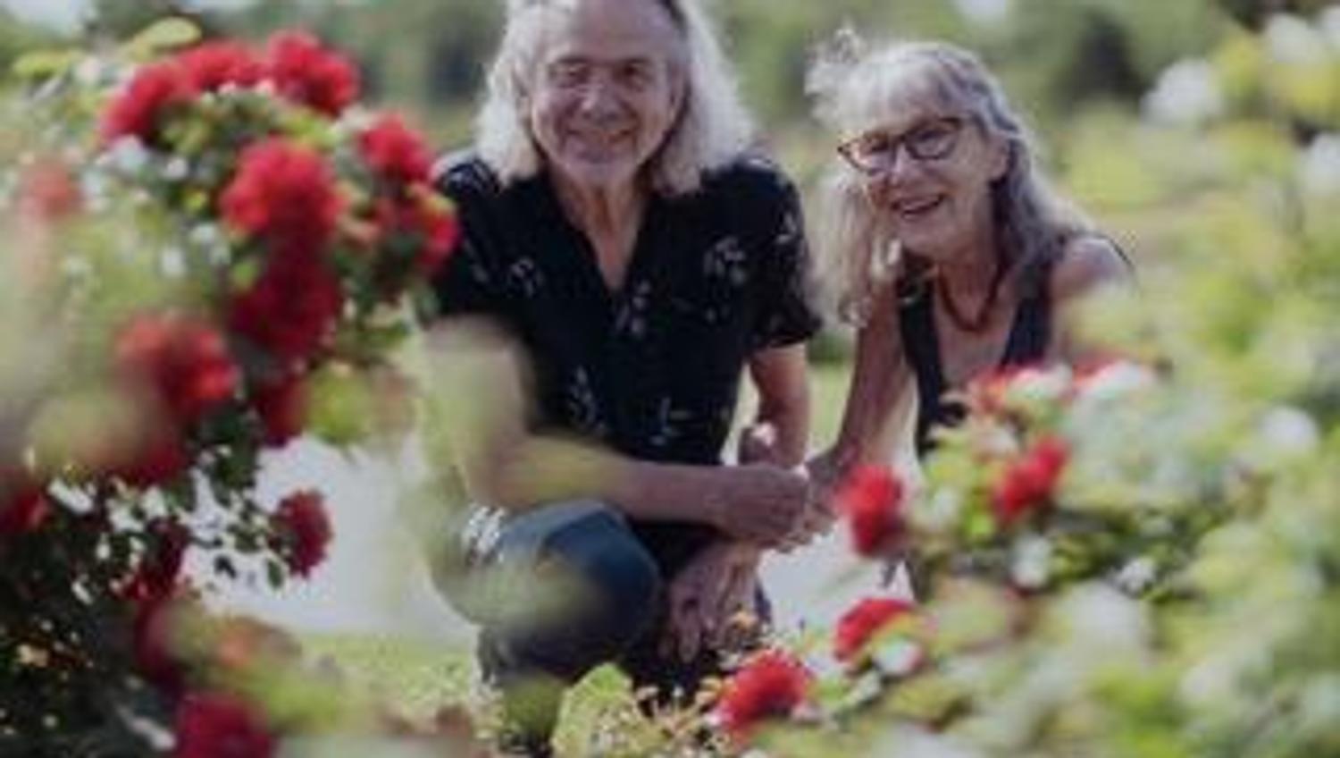et eldre ektepar som ser på røde blomster