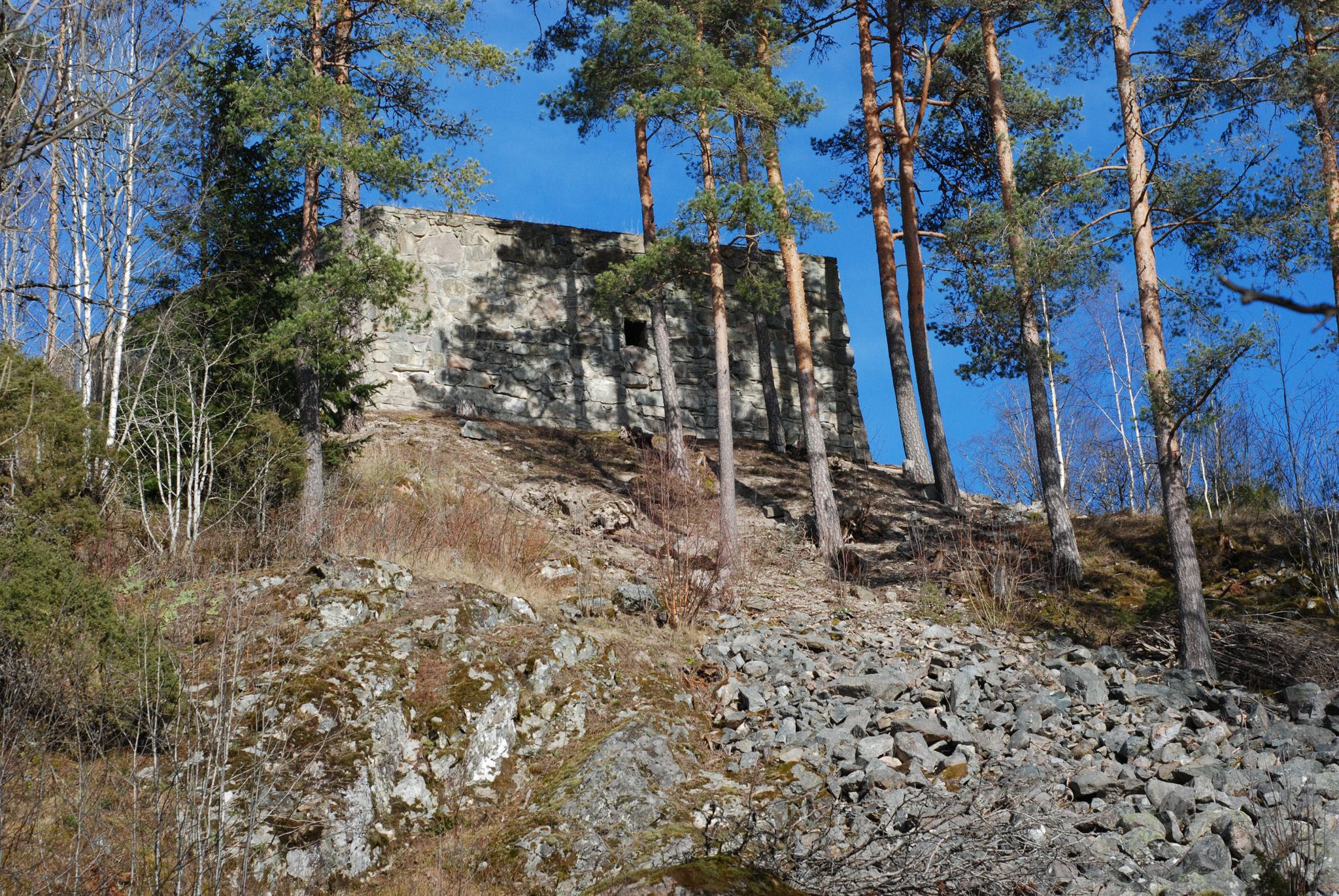 bunker gjemt i trær