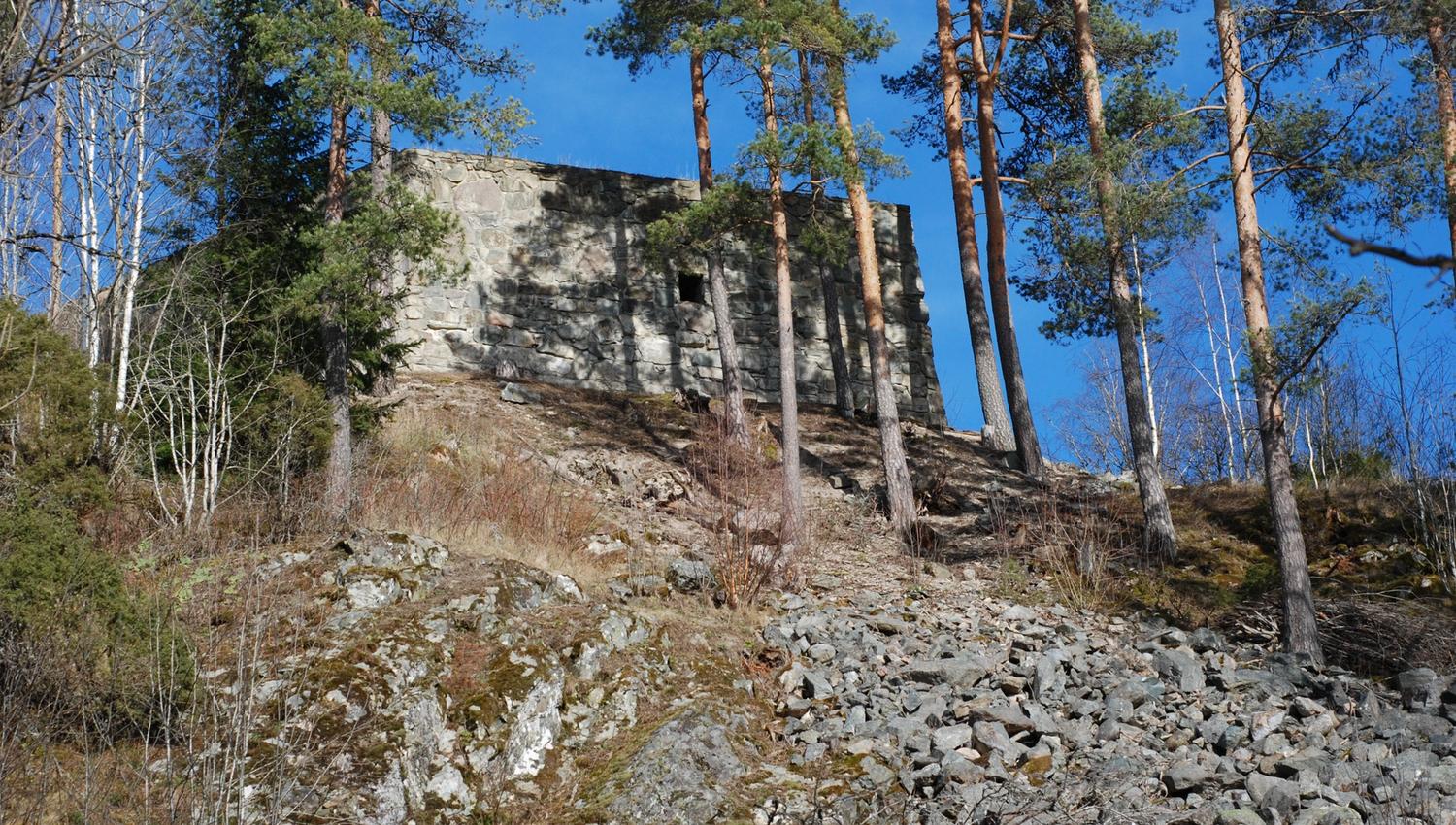 bunker gjemt i trær