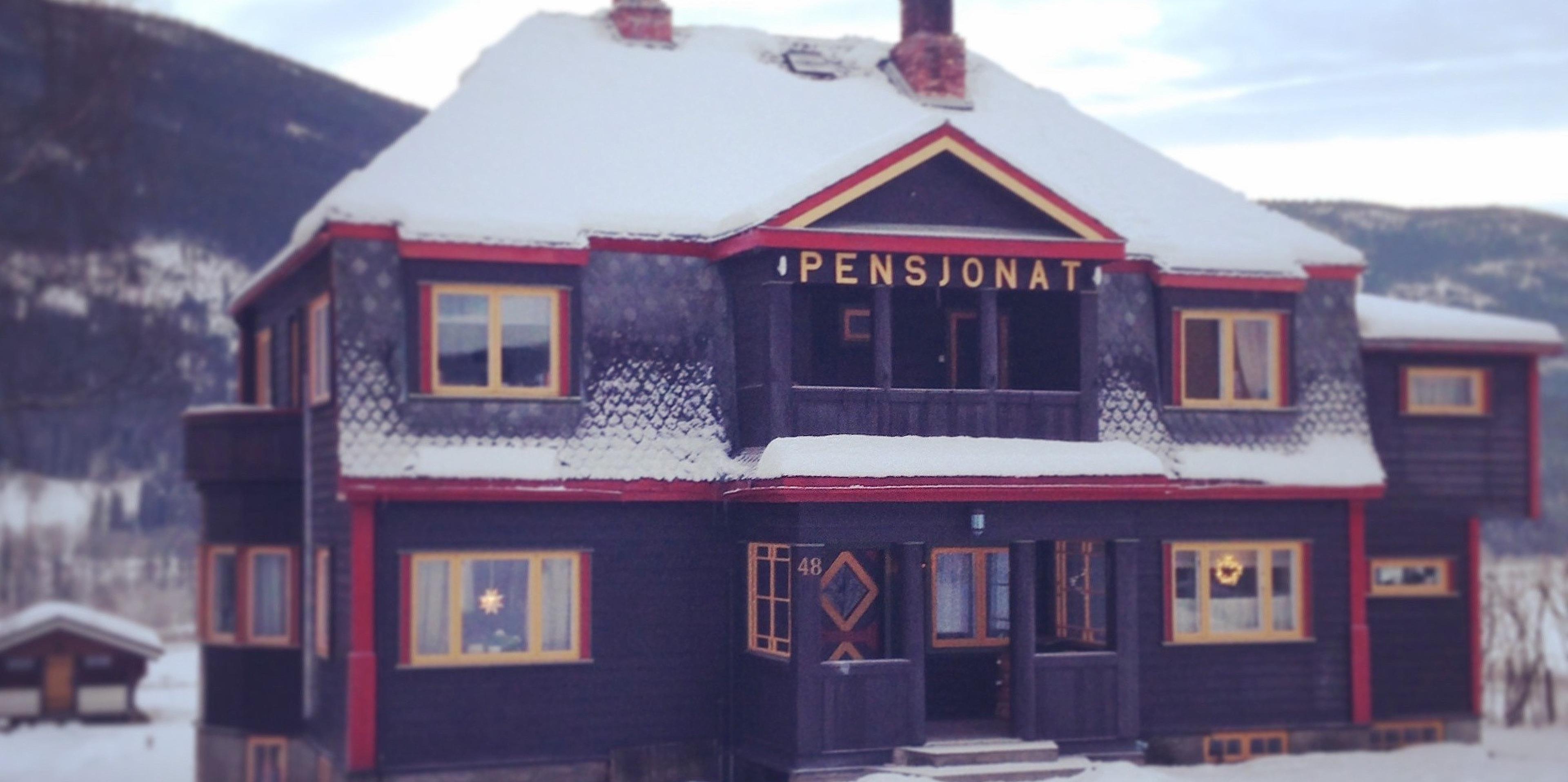 Vinter - Ål - Pensjonat